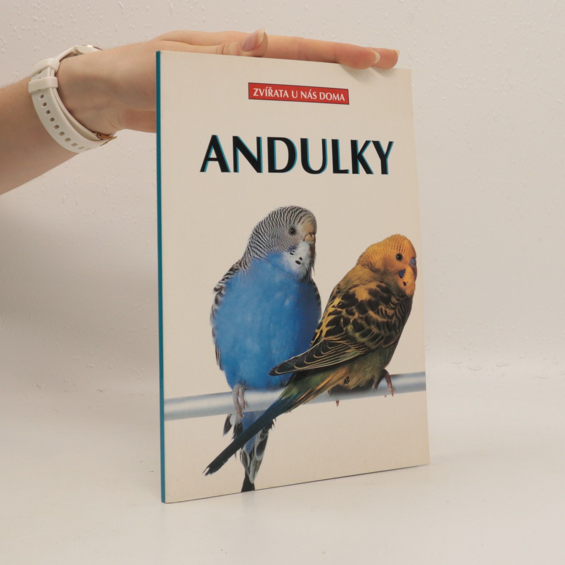 Collectif d'auteurs Andulky