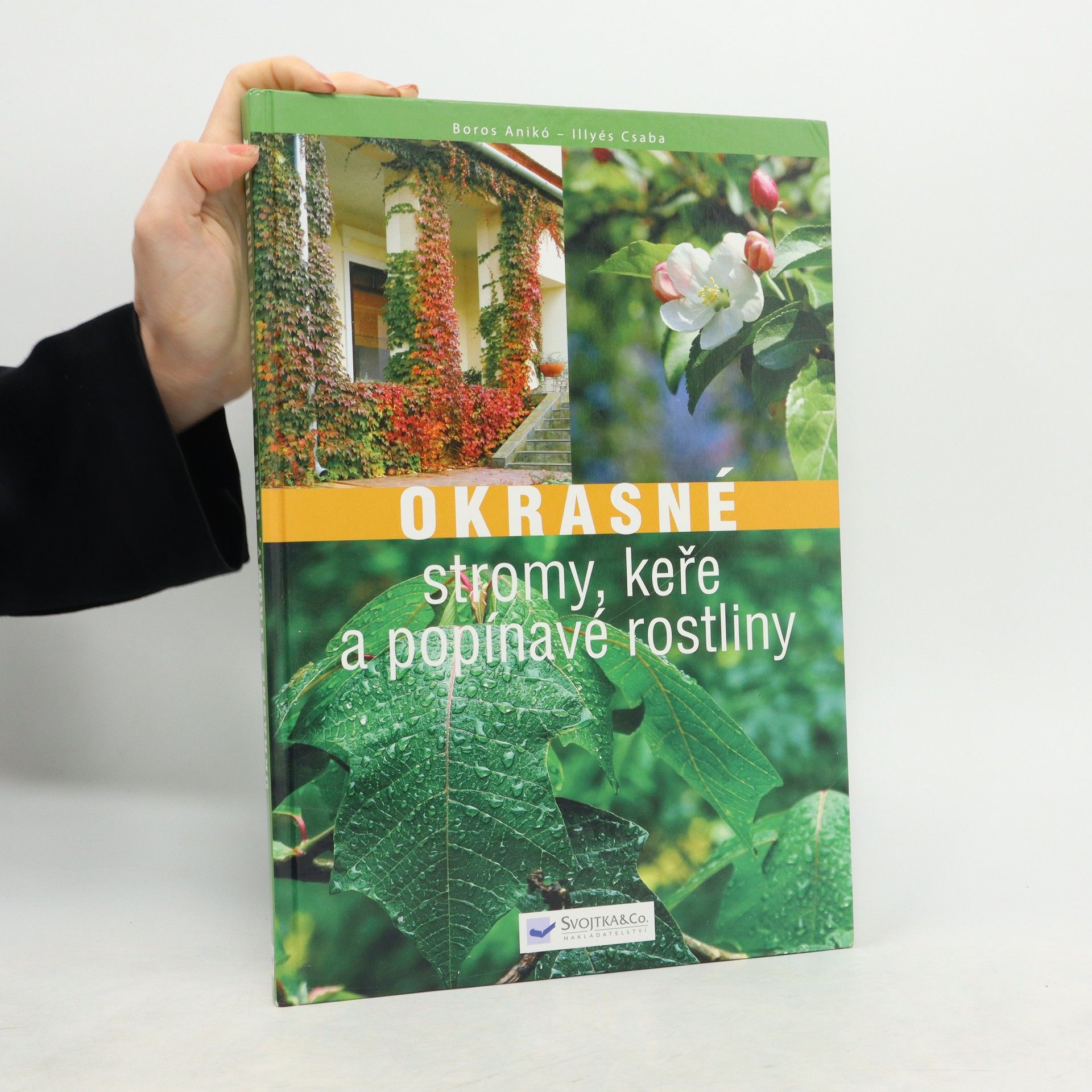 Boros Anikó Okrasné stromy, keře a popínavé rostliny