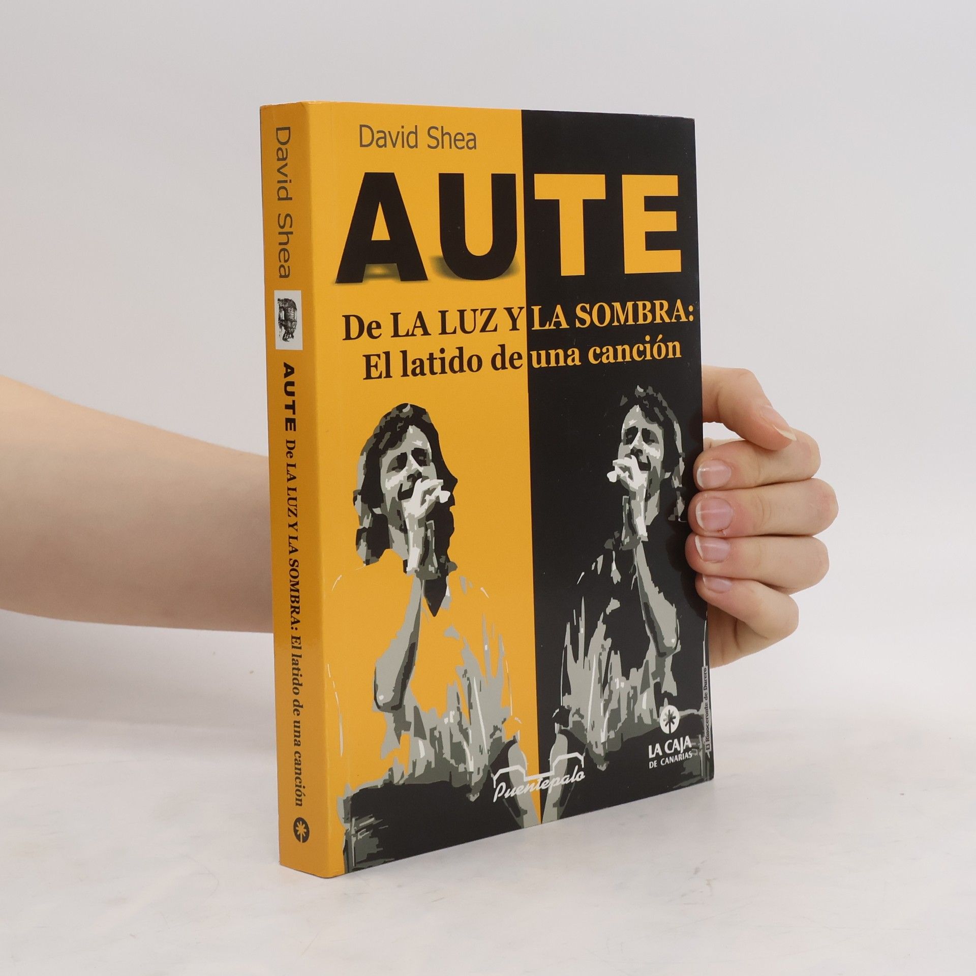 David Shea Aute: De la luz y la sombra, el latido de una canción