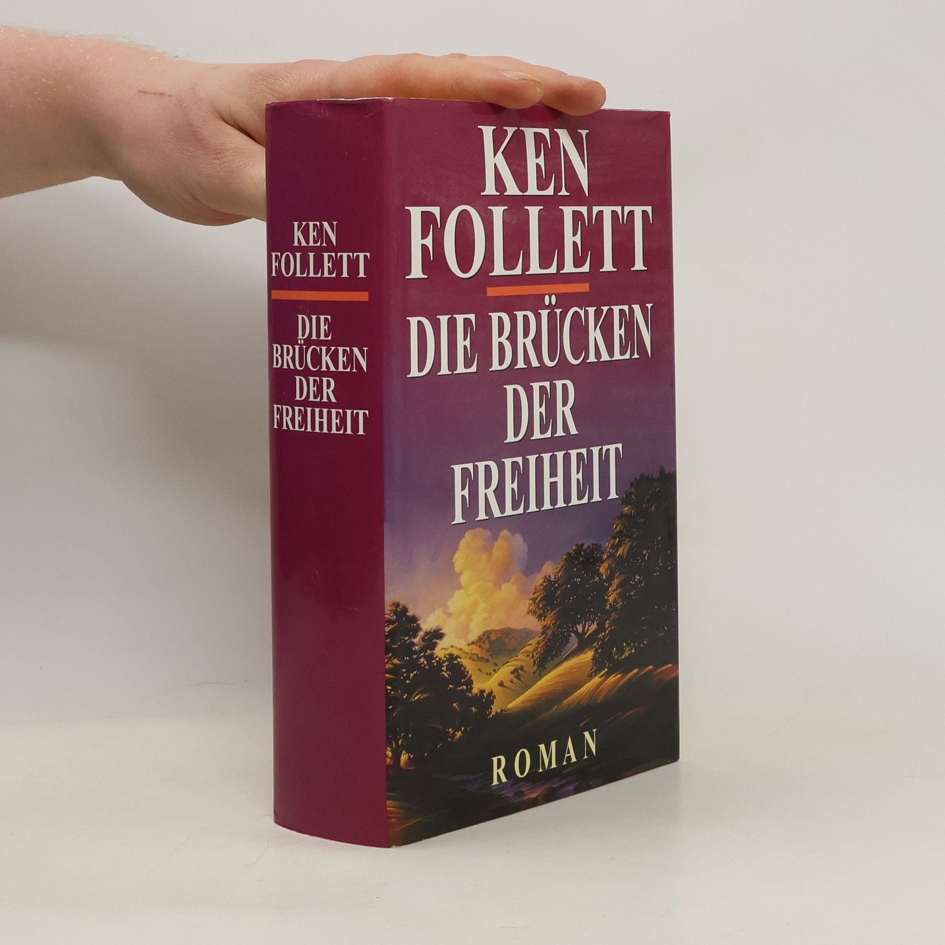 Ken Follett Die Brücken der Freiheit