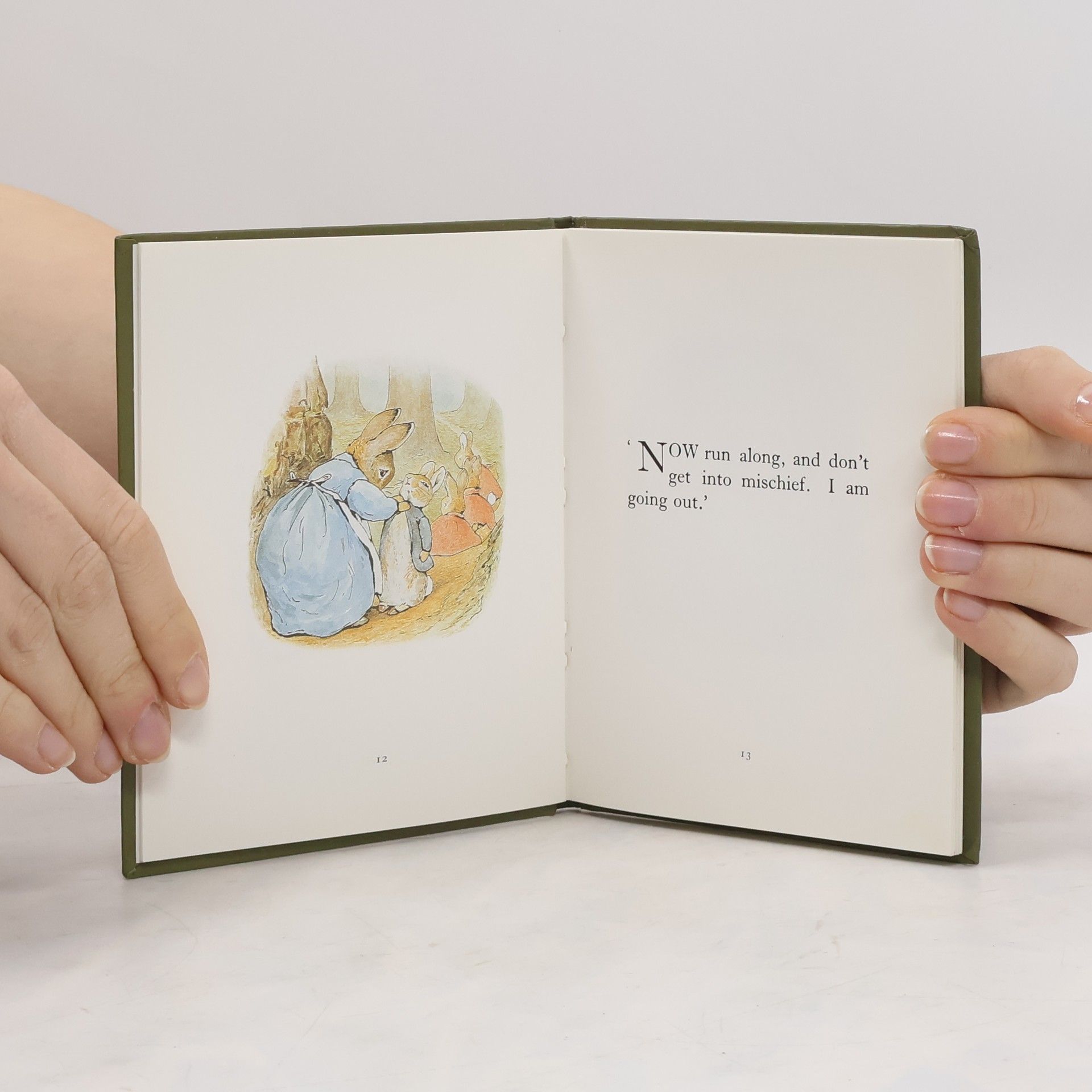 Beatrix Potter The tale of Peter Rabbit