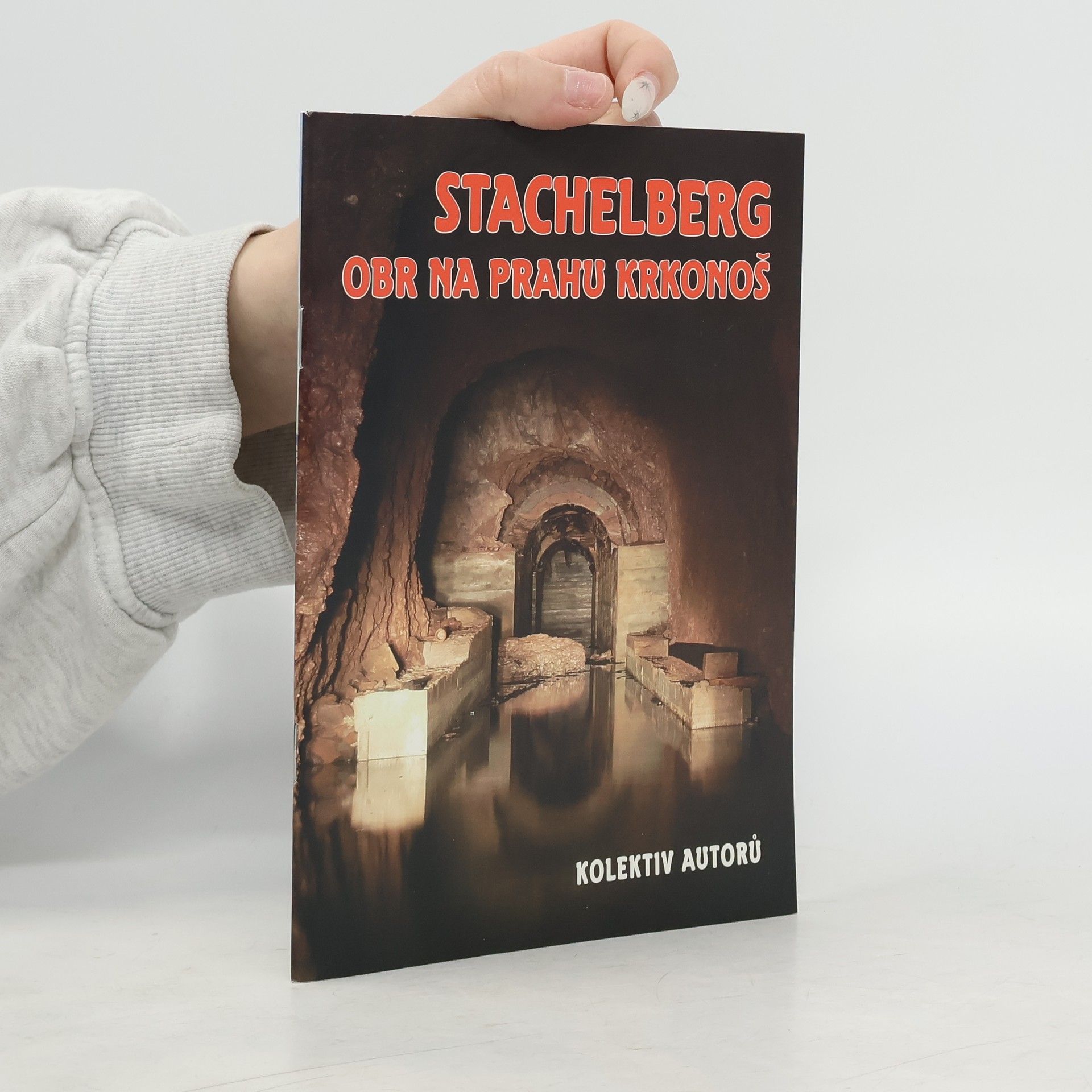 Kolektiv autorů Stachelberg - Obr na prahu Krkonoš