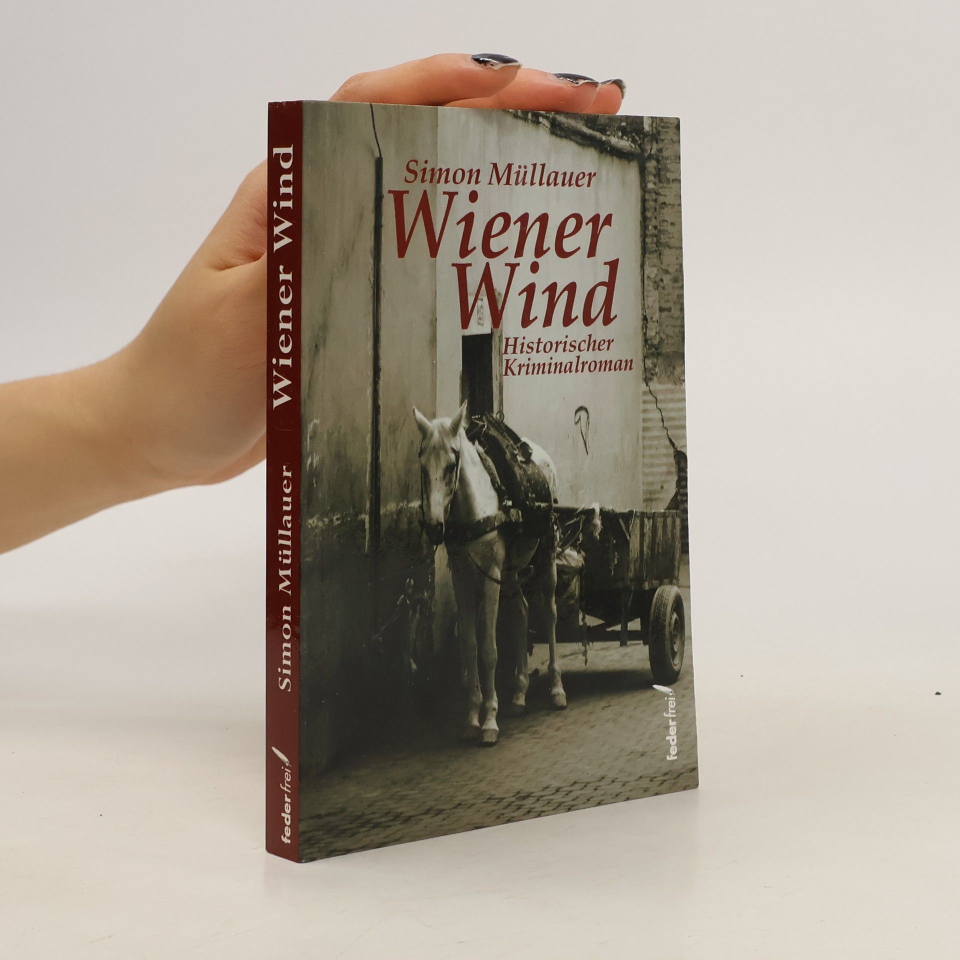 Simon Müllauer Wiener Wind