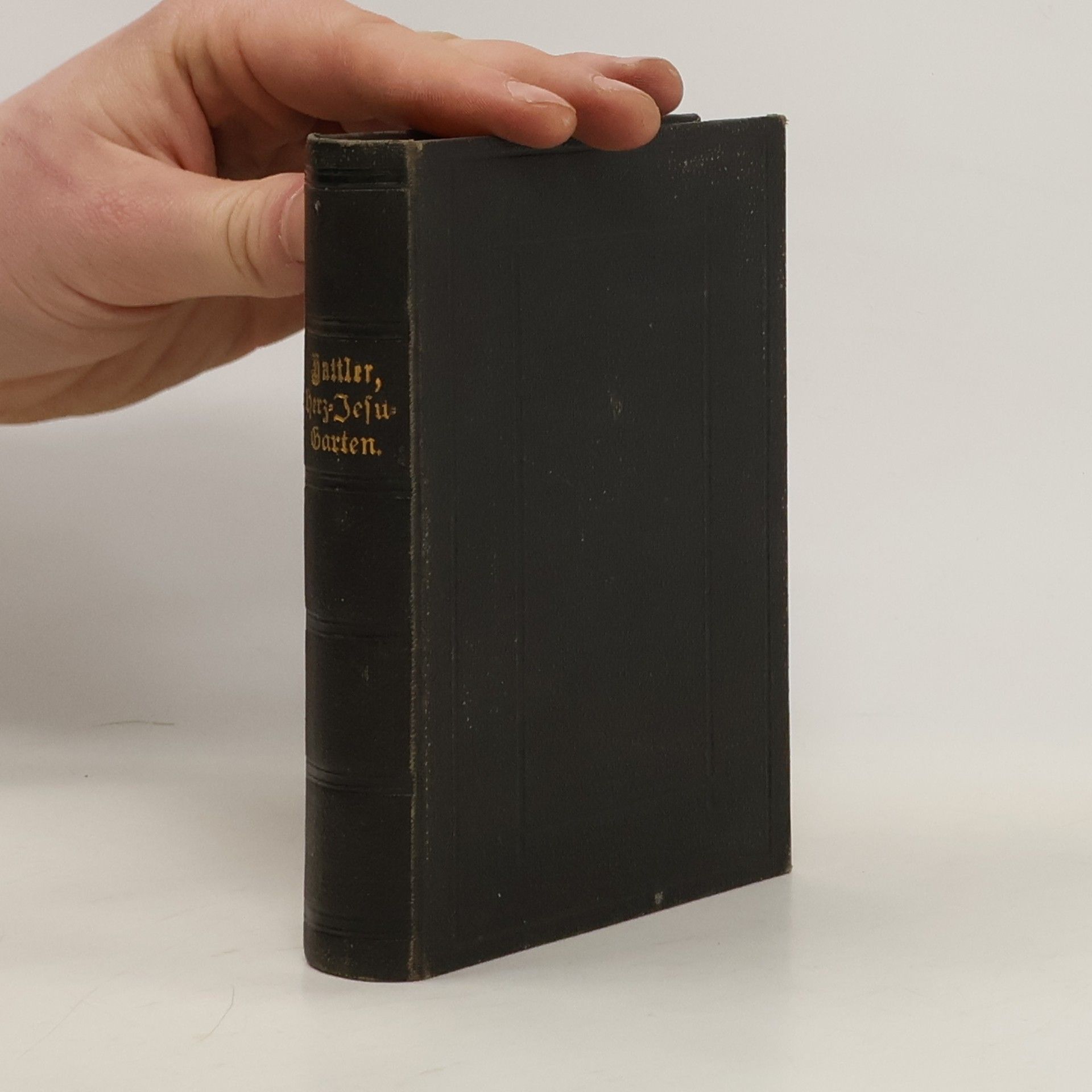 Der Garten des Herzens Jesu