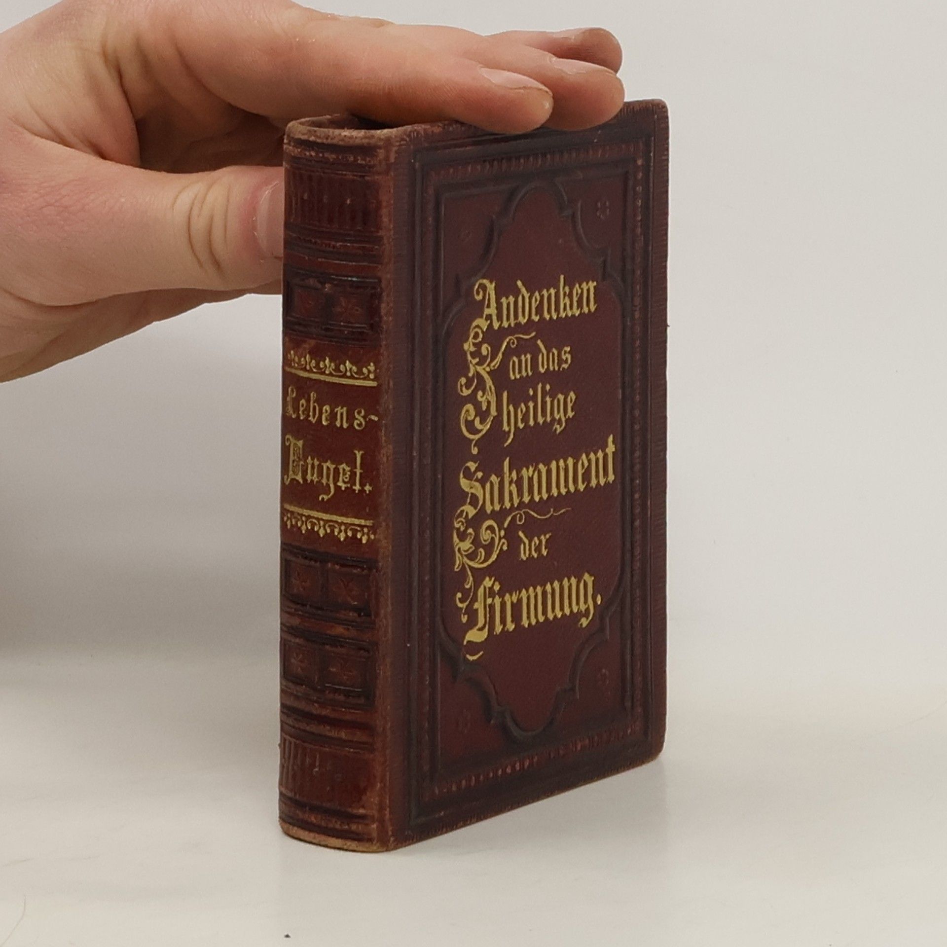 Autorenkollektiv Der schützende Lebensengel des Menschen