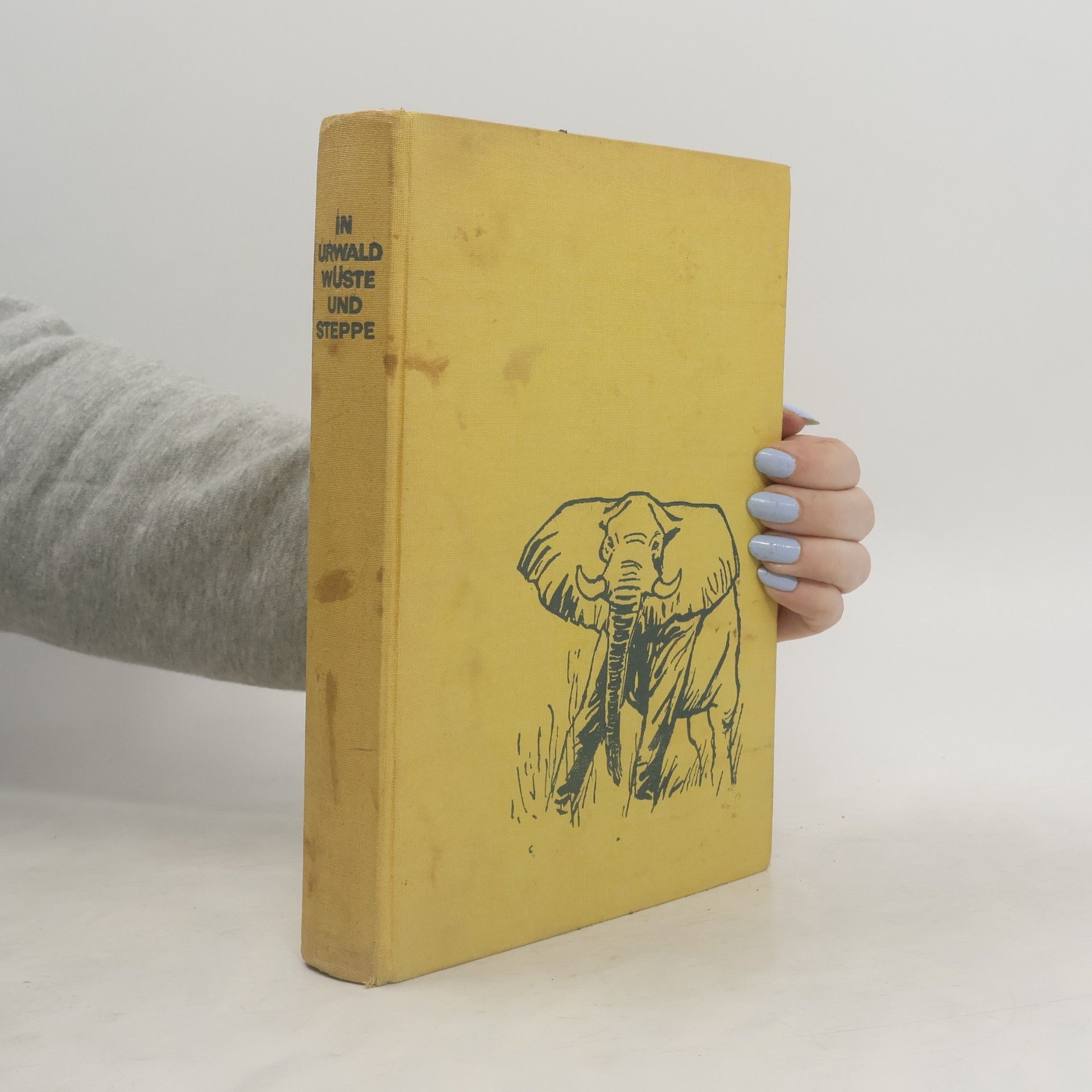 Autorenkollektiv In Urwald Wüste und Steppe