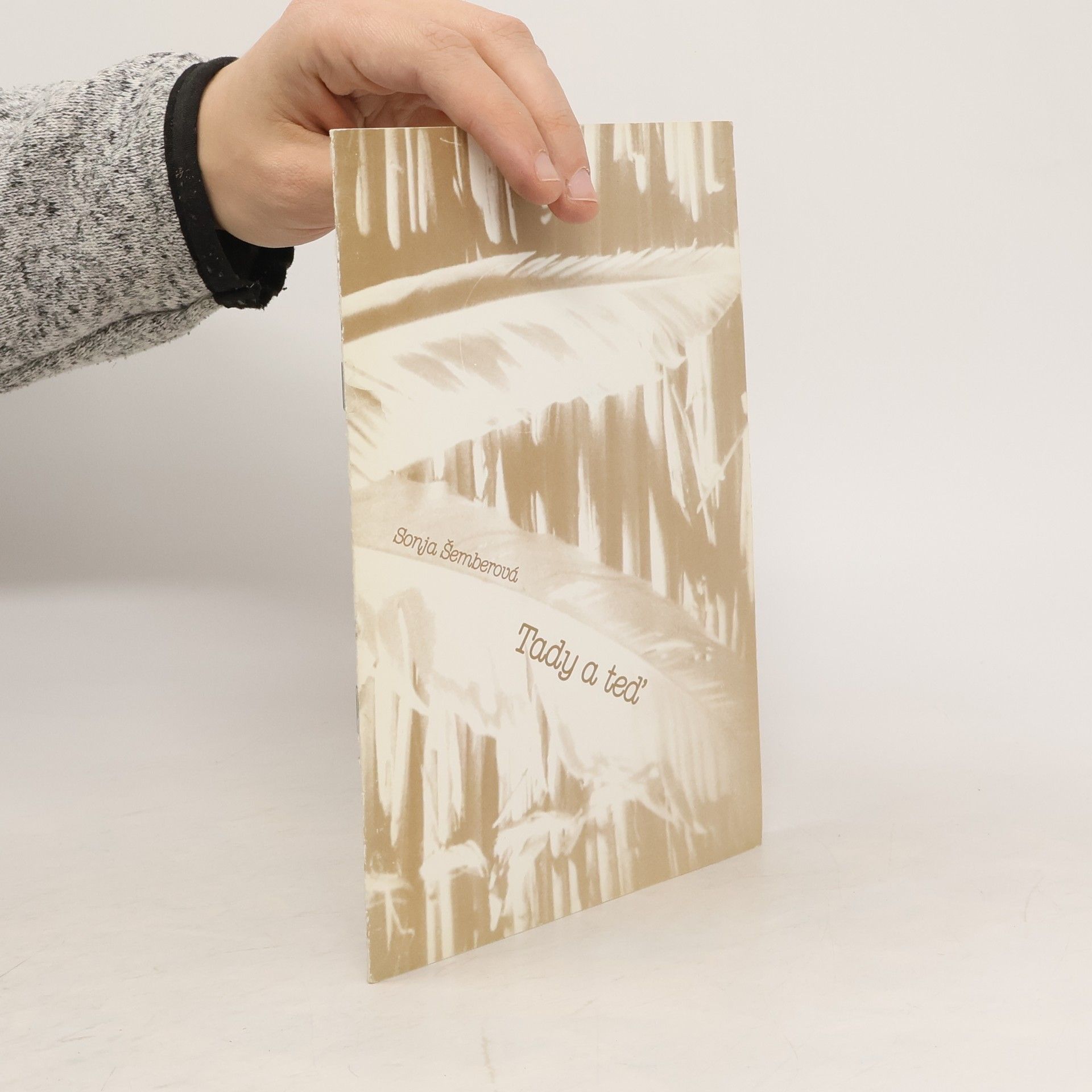 Sonja Šemberová Tady a teď