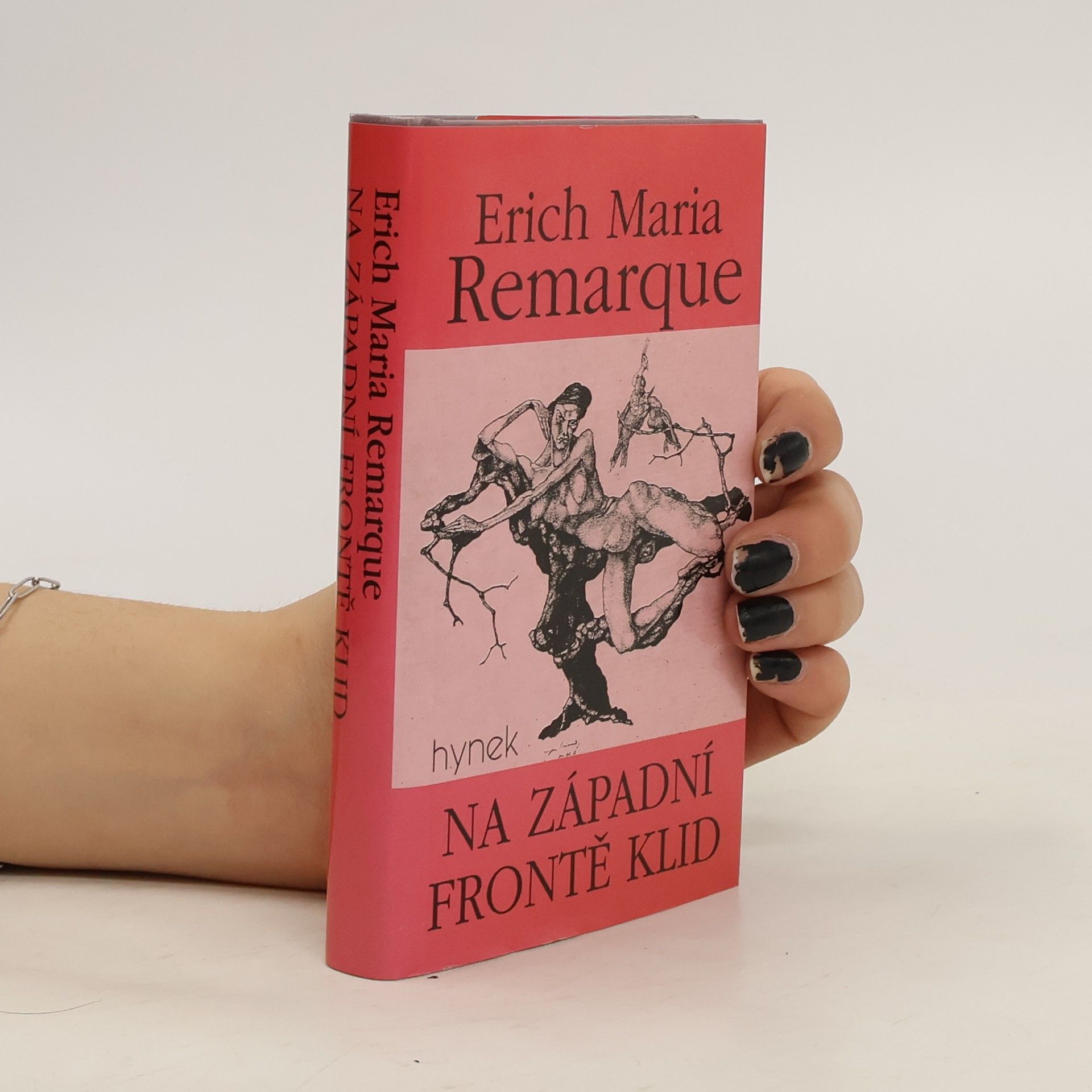 Erich Maria Remarque Na západní frontě klid (Svazek 1)