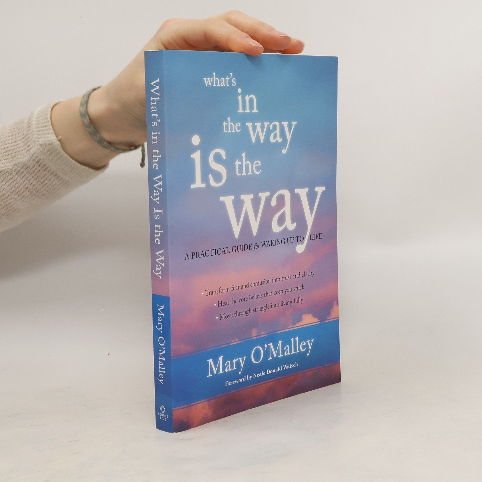 Mary O'Malley What's in the Way is the Way