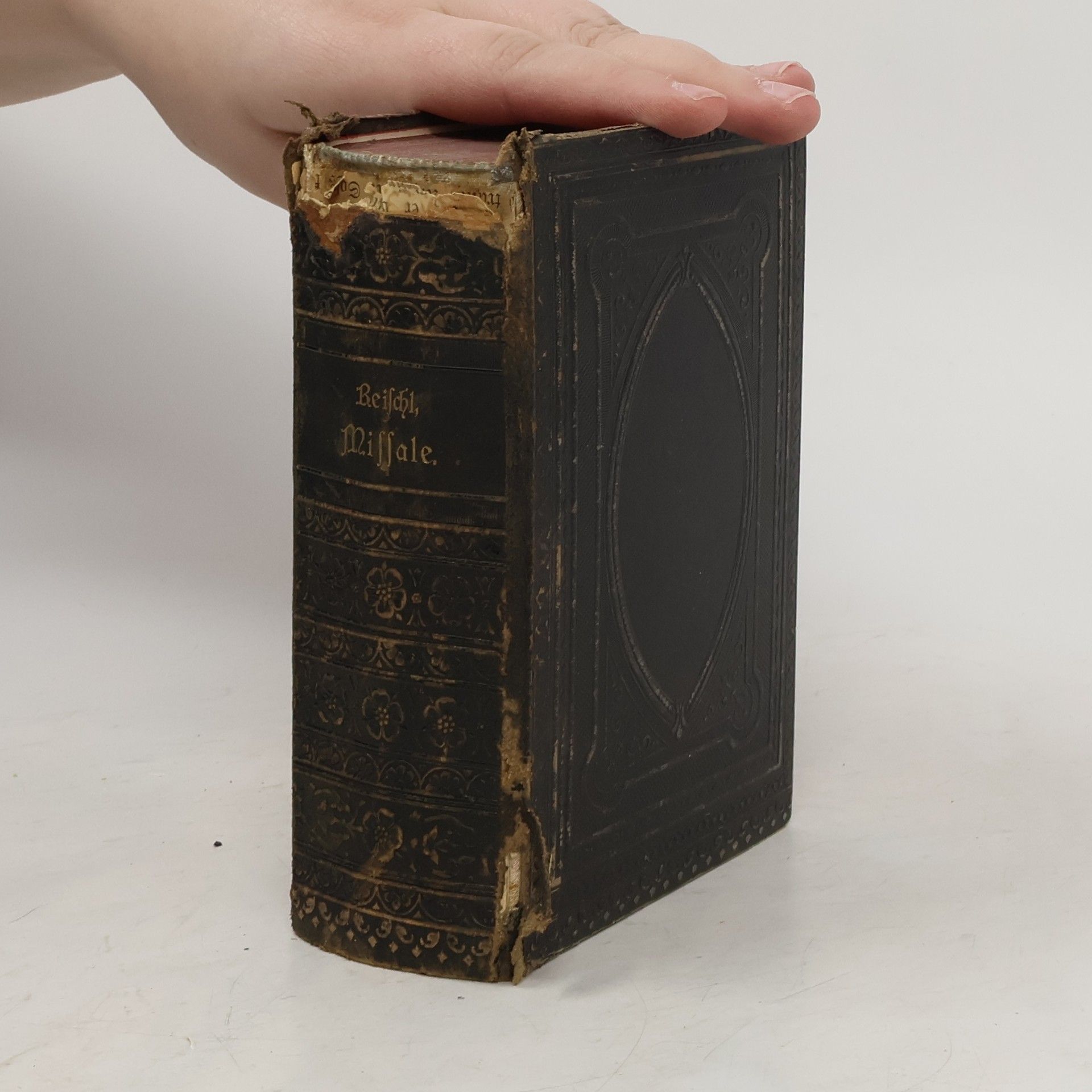 Missale. Das ist Messbuch für das kathol. Kirchenjahr