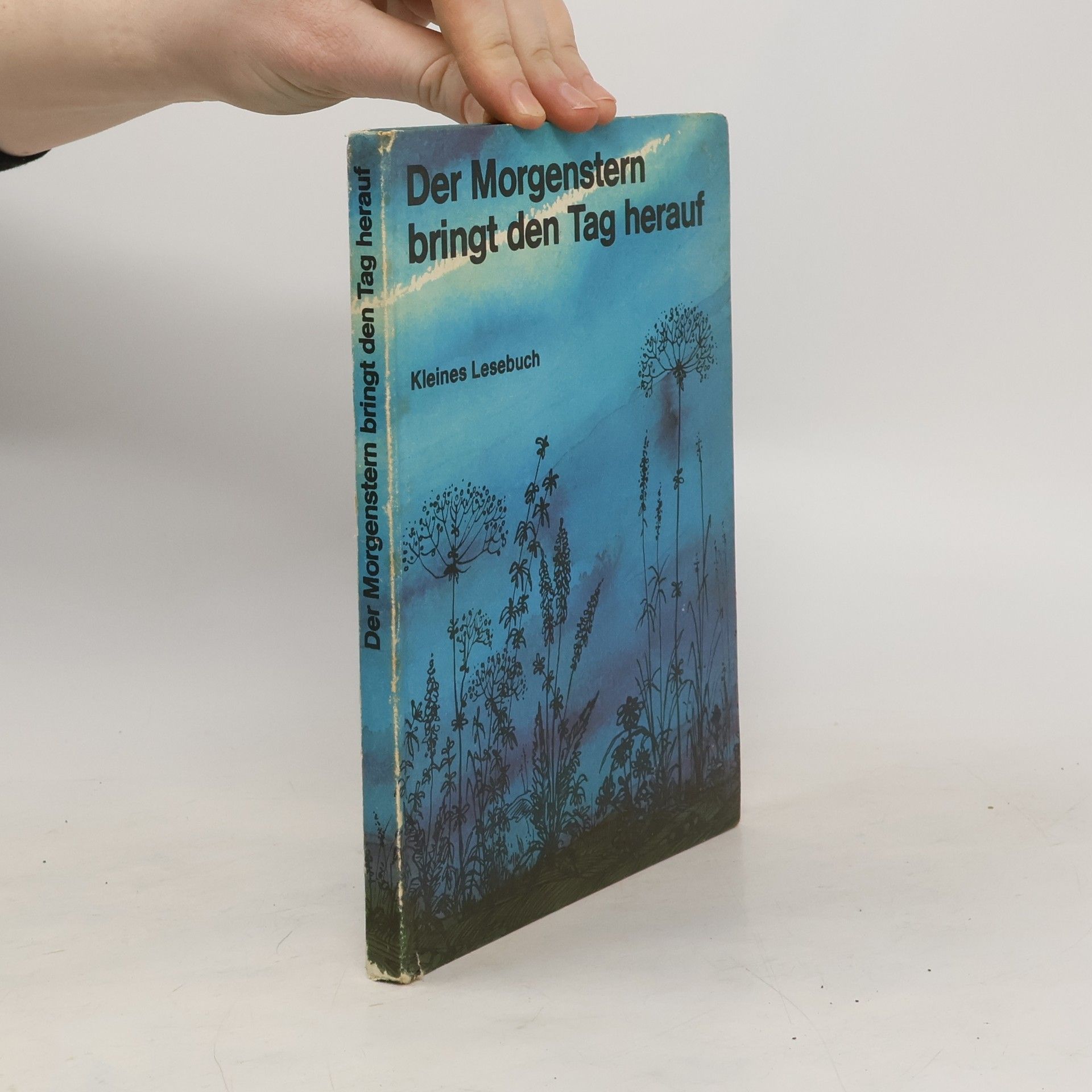 Collectif d'auteurs Der Morgenstern bringt den Tag herauf