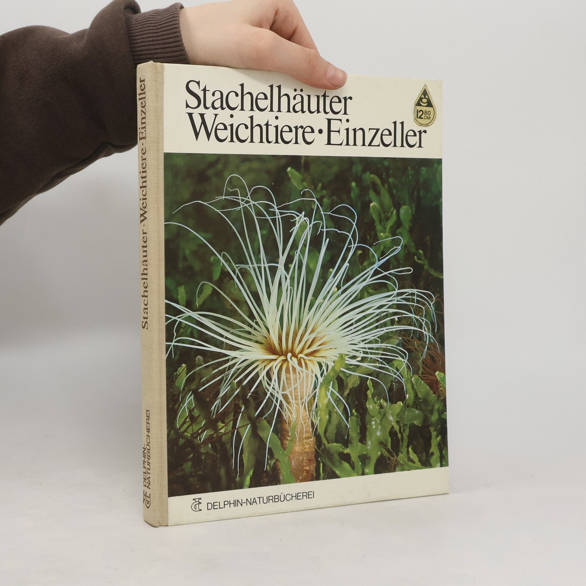 Roswitha Rietschel Kluge Stachelhäuter, Weichtiere, Einzeller
