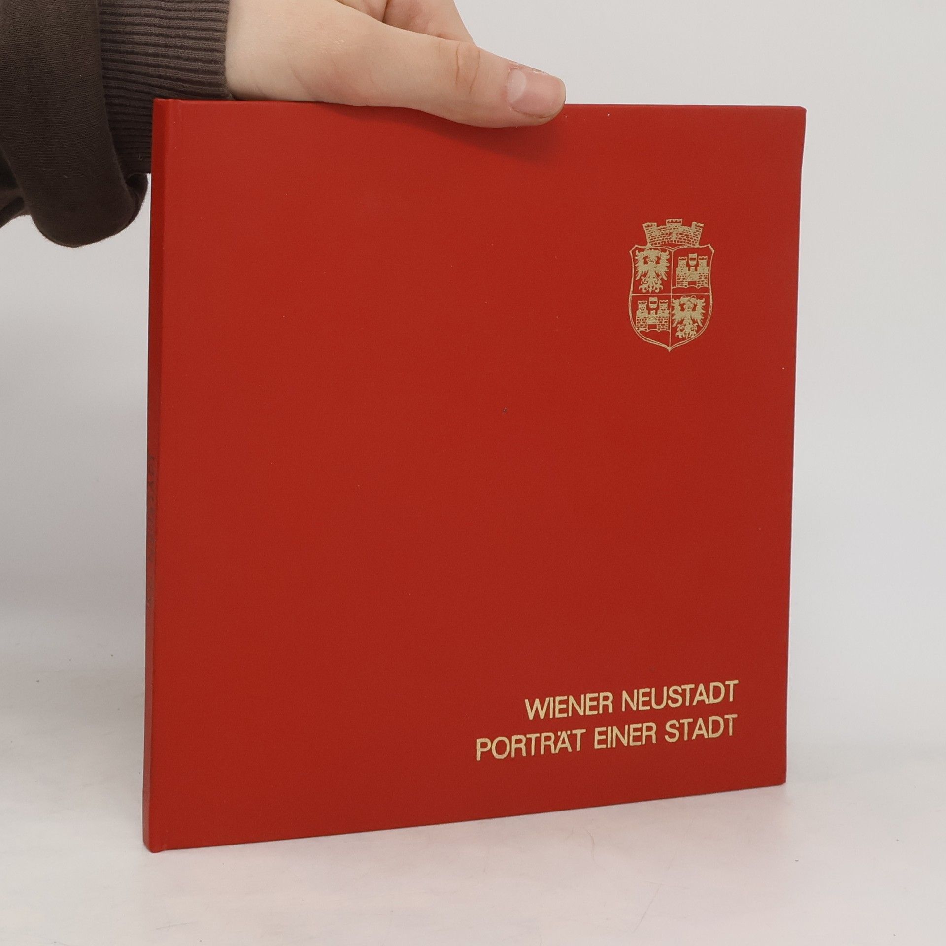 Autorenkollektiv Wiener Neustadt. Porträt einer Stadt