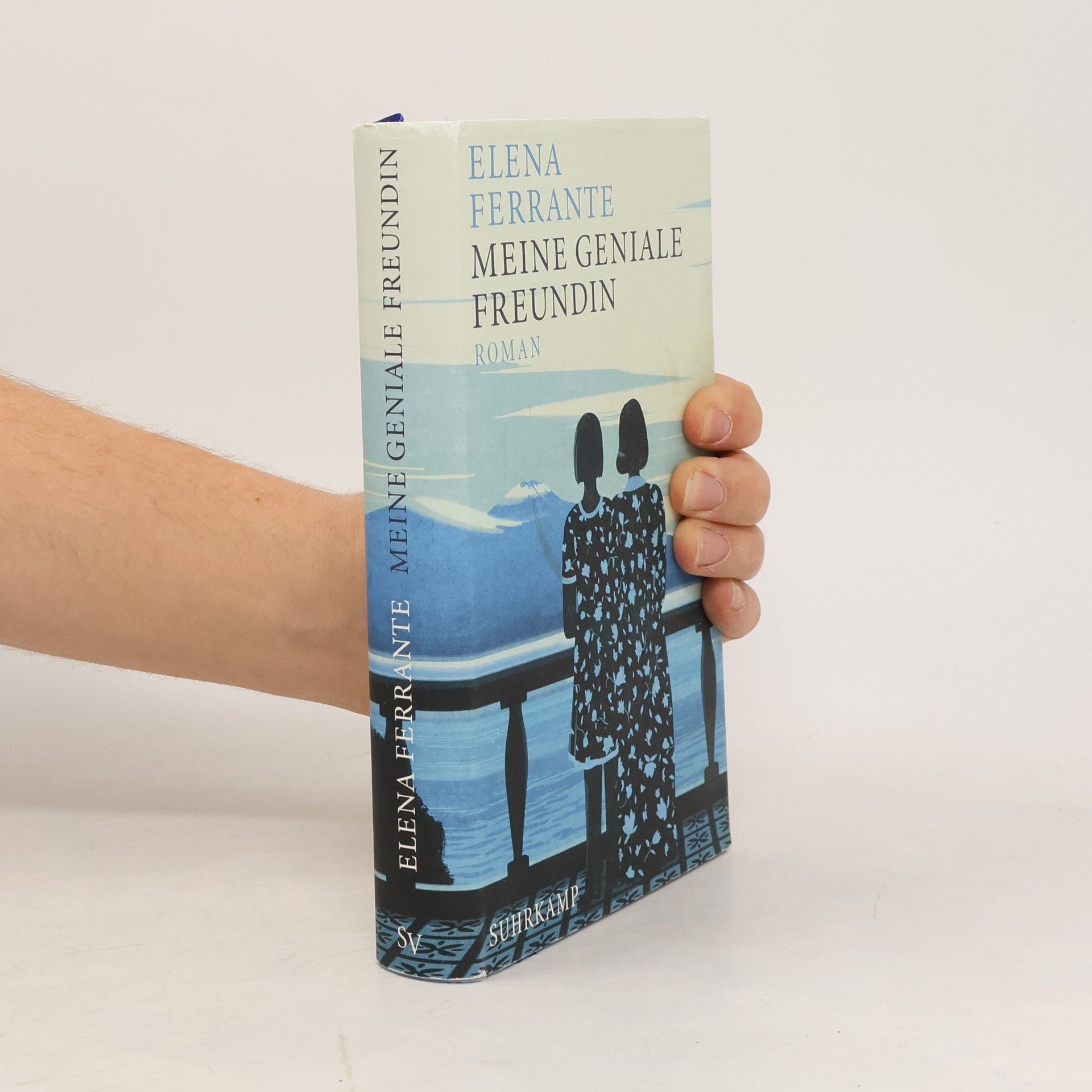 Elena Ferrante Meine geniale Freundin
