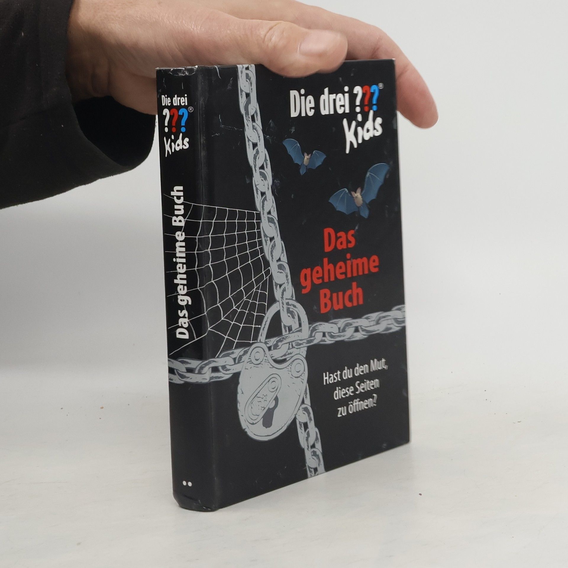 Ulf Blanck Das geheime Buch