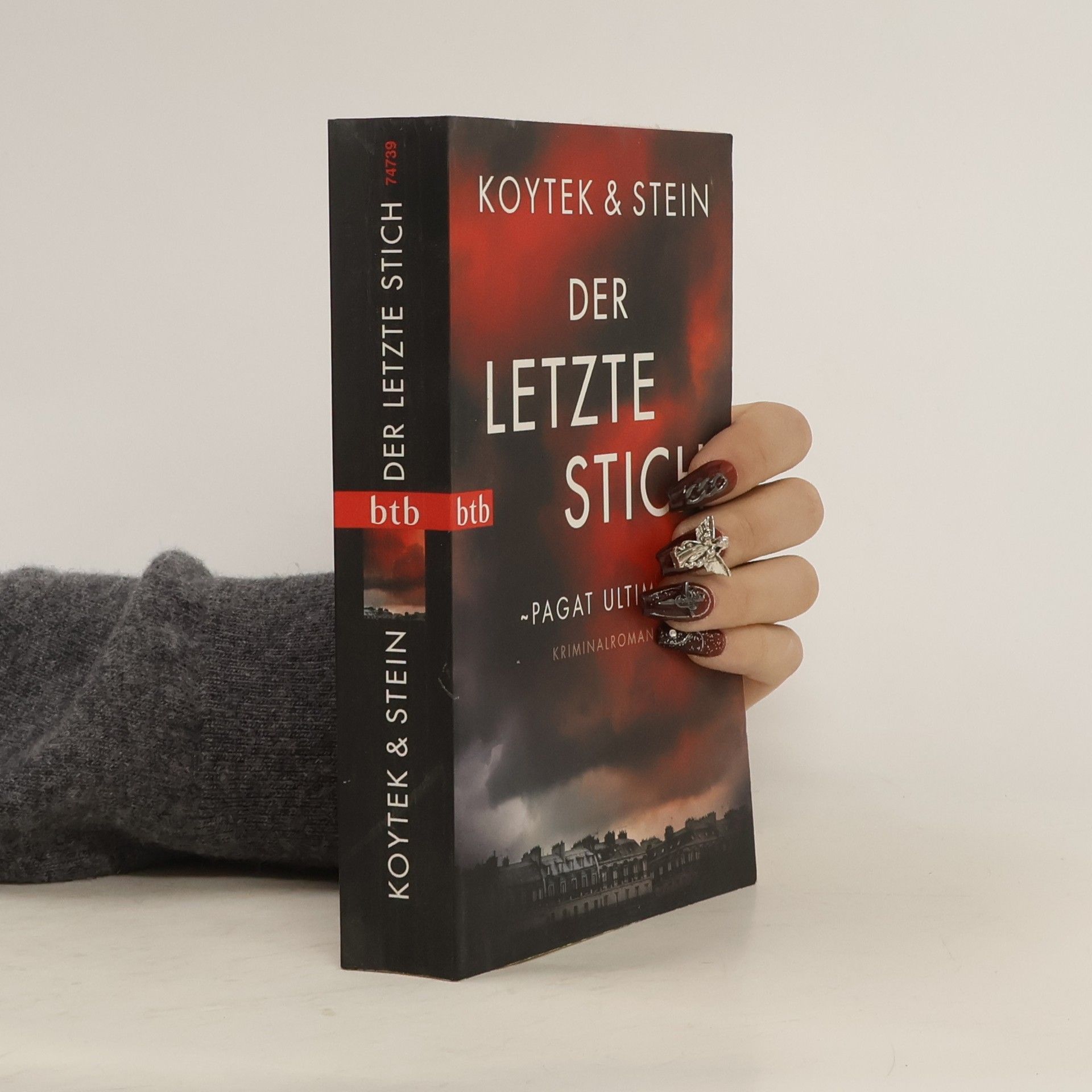 Georg Koytek Der letzte Stich