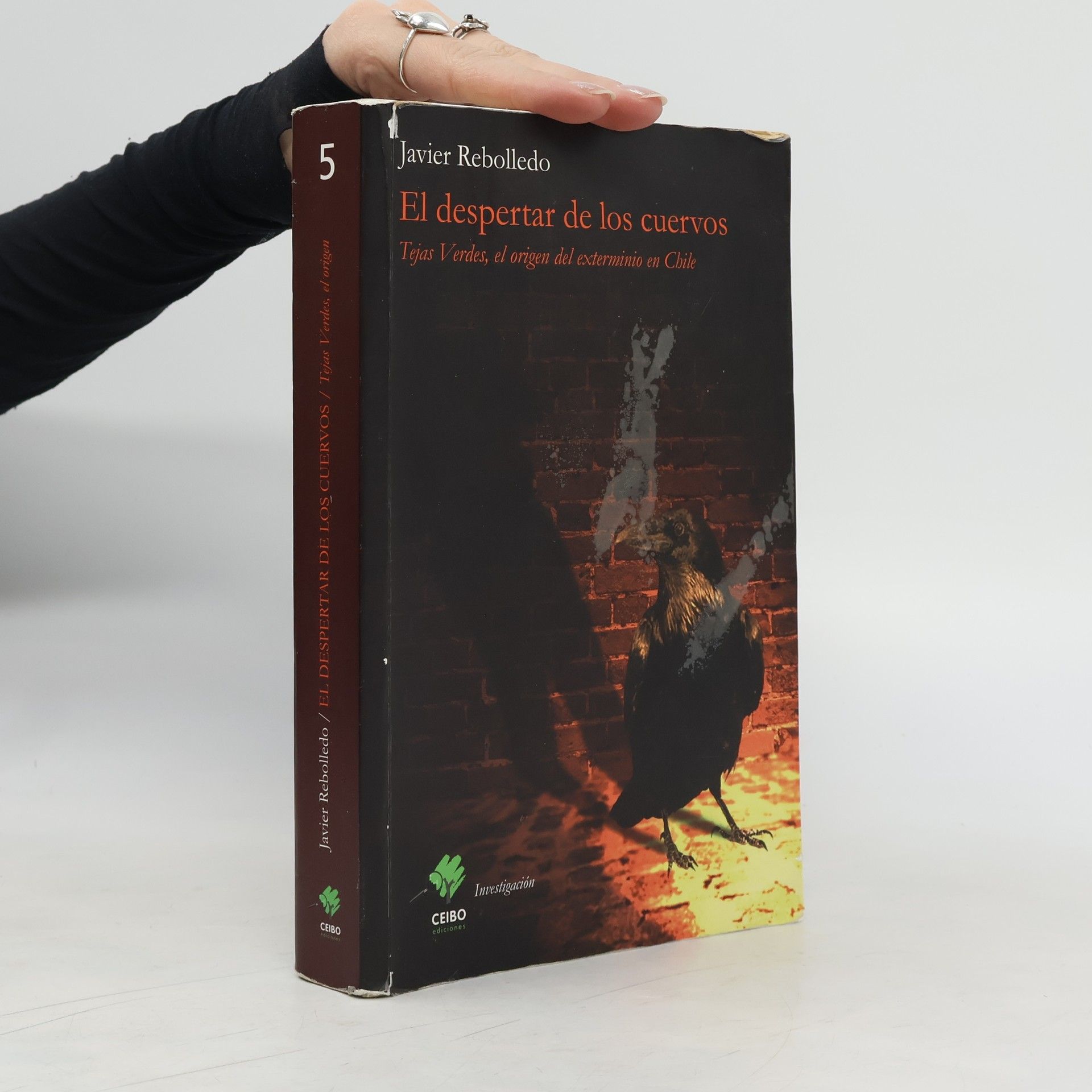 Javier Rebolledo El despertar de los cuervos 5