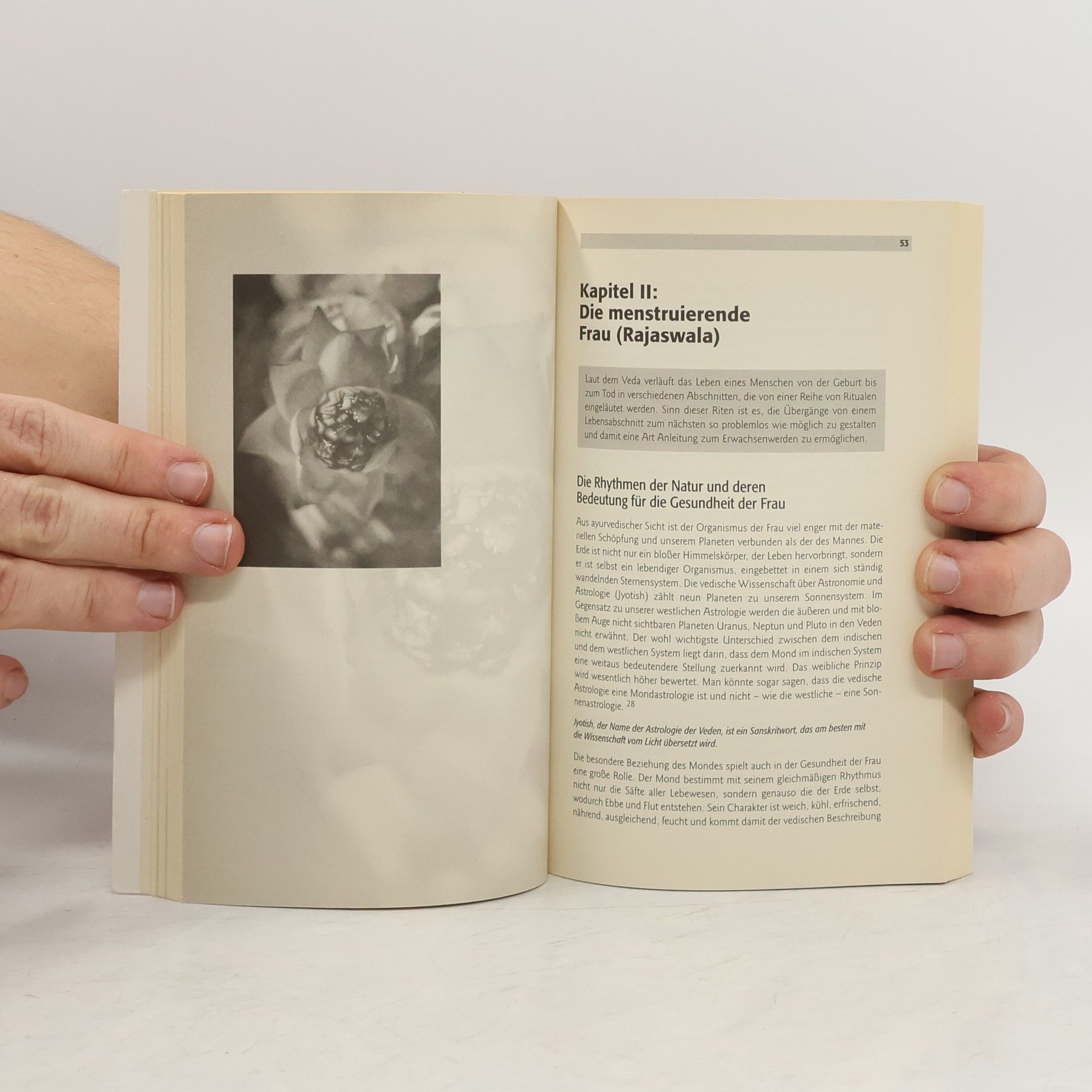 Dieter Scherer Ayurveda-Gesundheitsbuch für Frauen