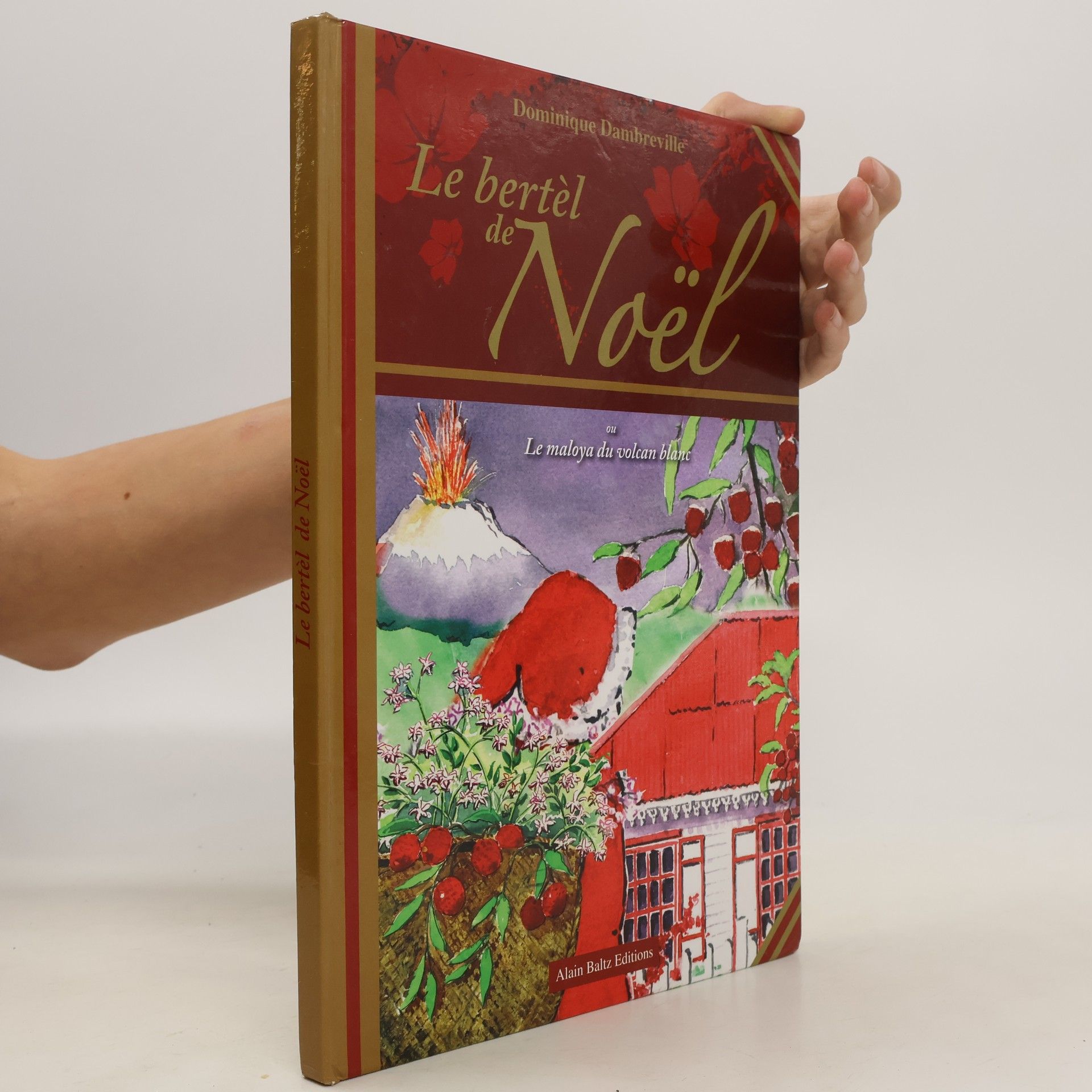 Dominique Dambreville Le bertèl de Noël