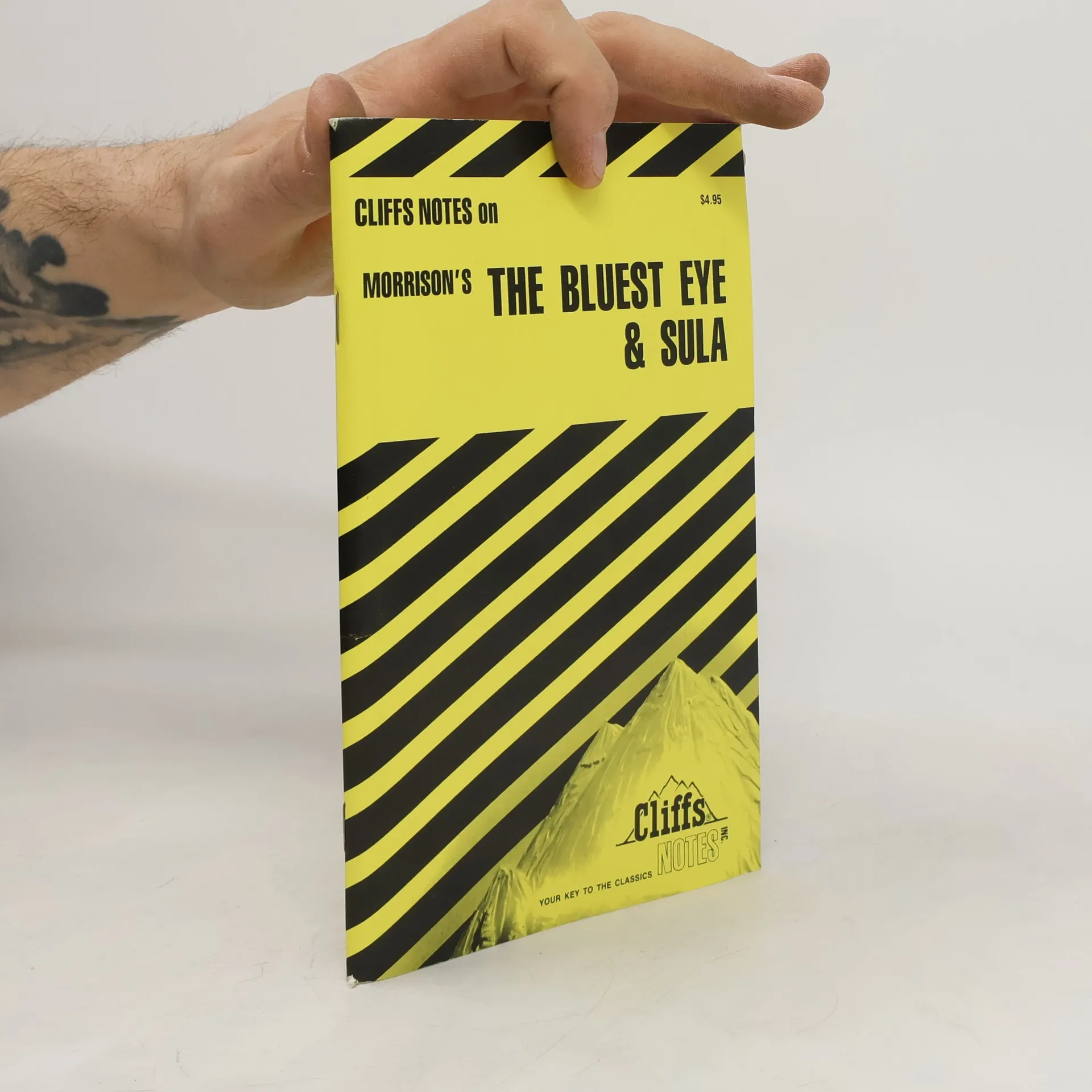 Cliffs Notes on Morrison's The Bluest Eye & Sula | Book | Paperback | Rosetta James | EN