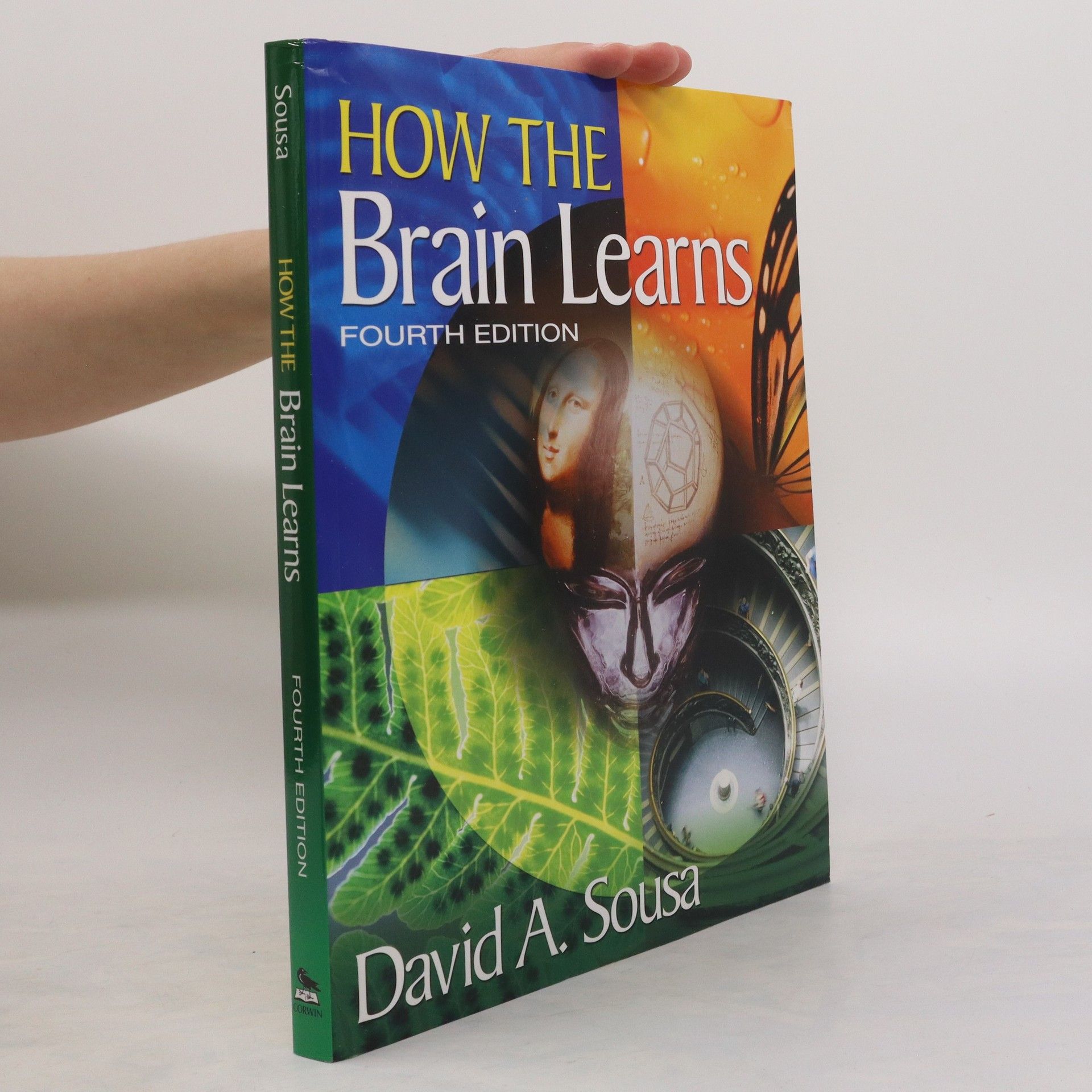 David A Sousa How the Brain Learns