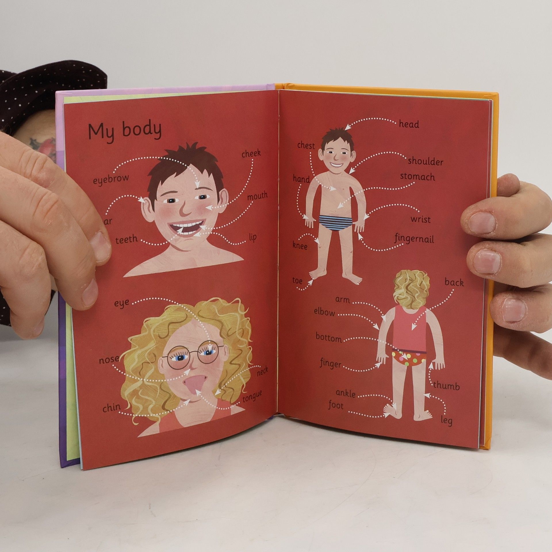 Kolektiv autorů Early Learning: Everyday Words