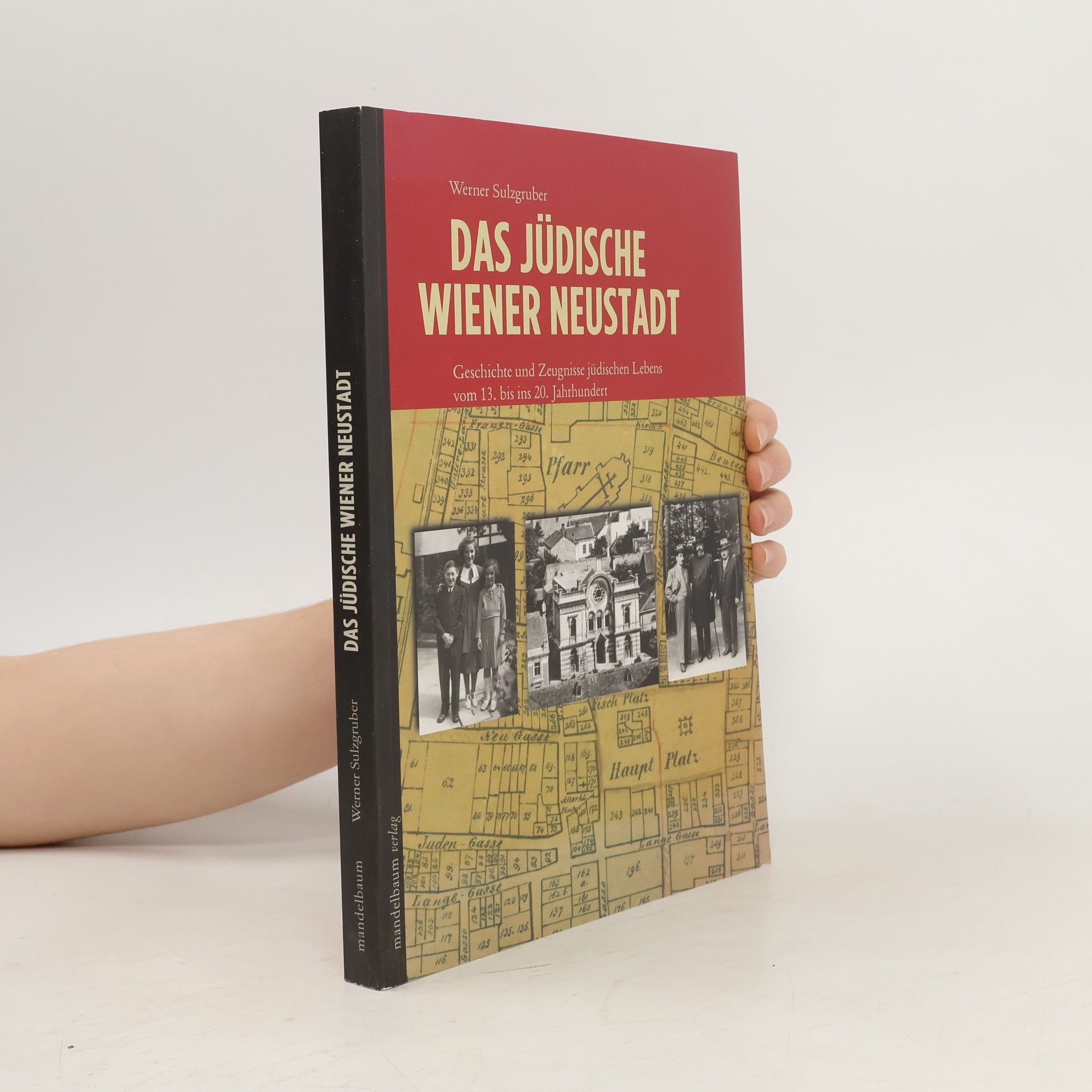 Das jüdische Wiener Neustadt