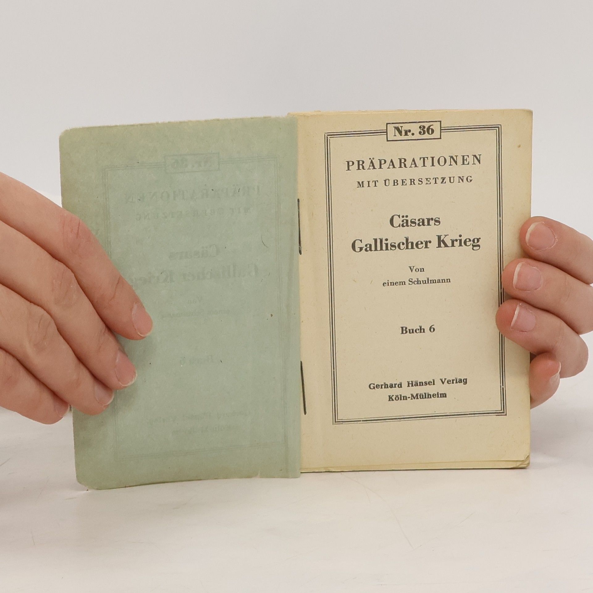 Autorenkollektiv Cäsars Gallischer Krieg. Buch 6