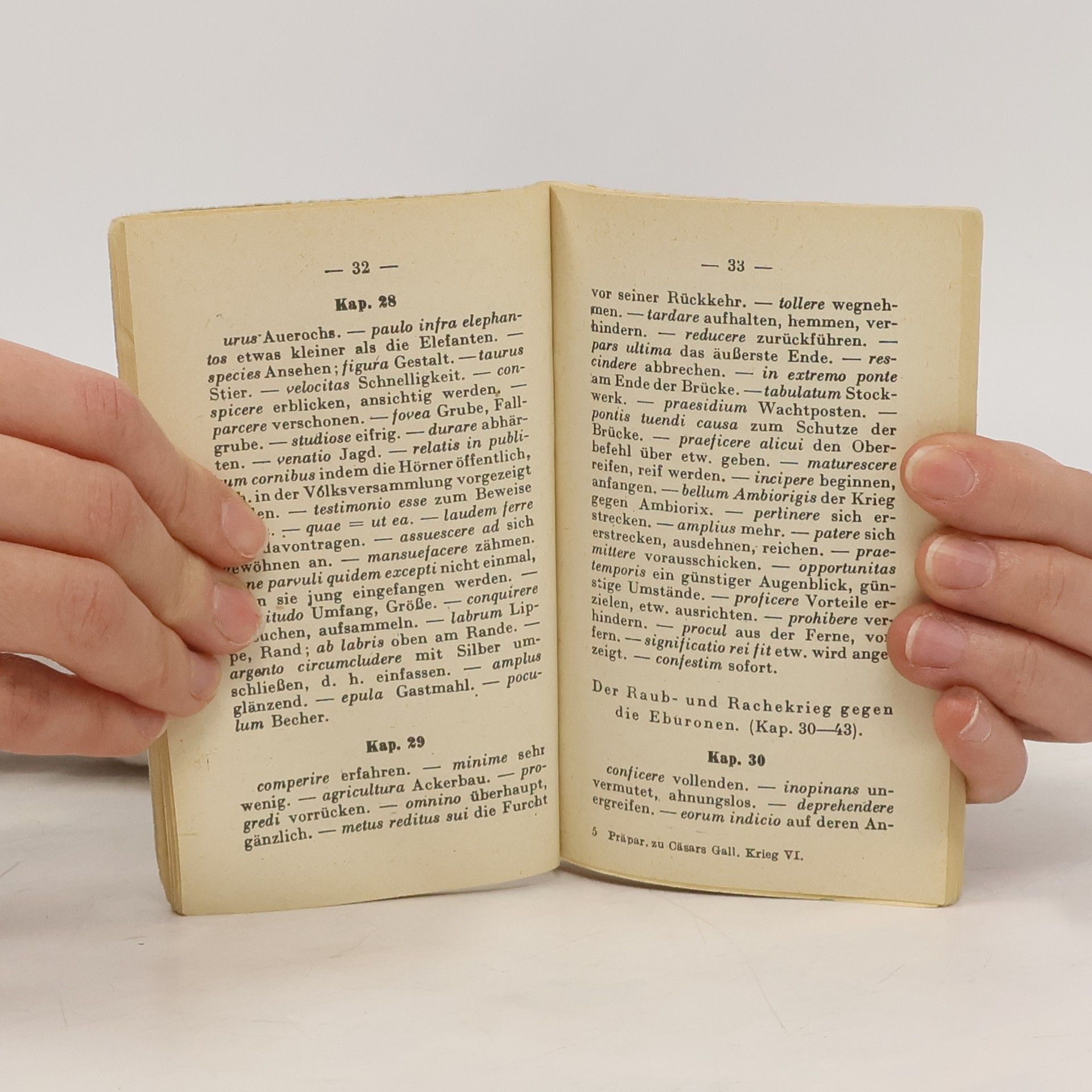 Autorenkollektiv Cäsars Gallischer Krieg. Buch 6