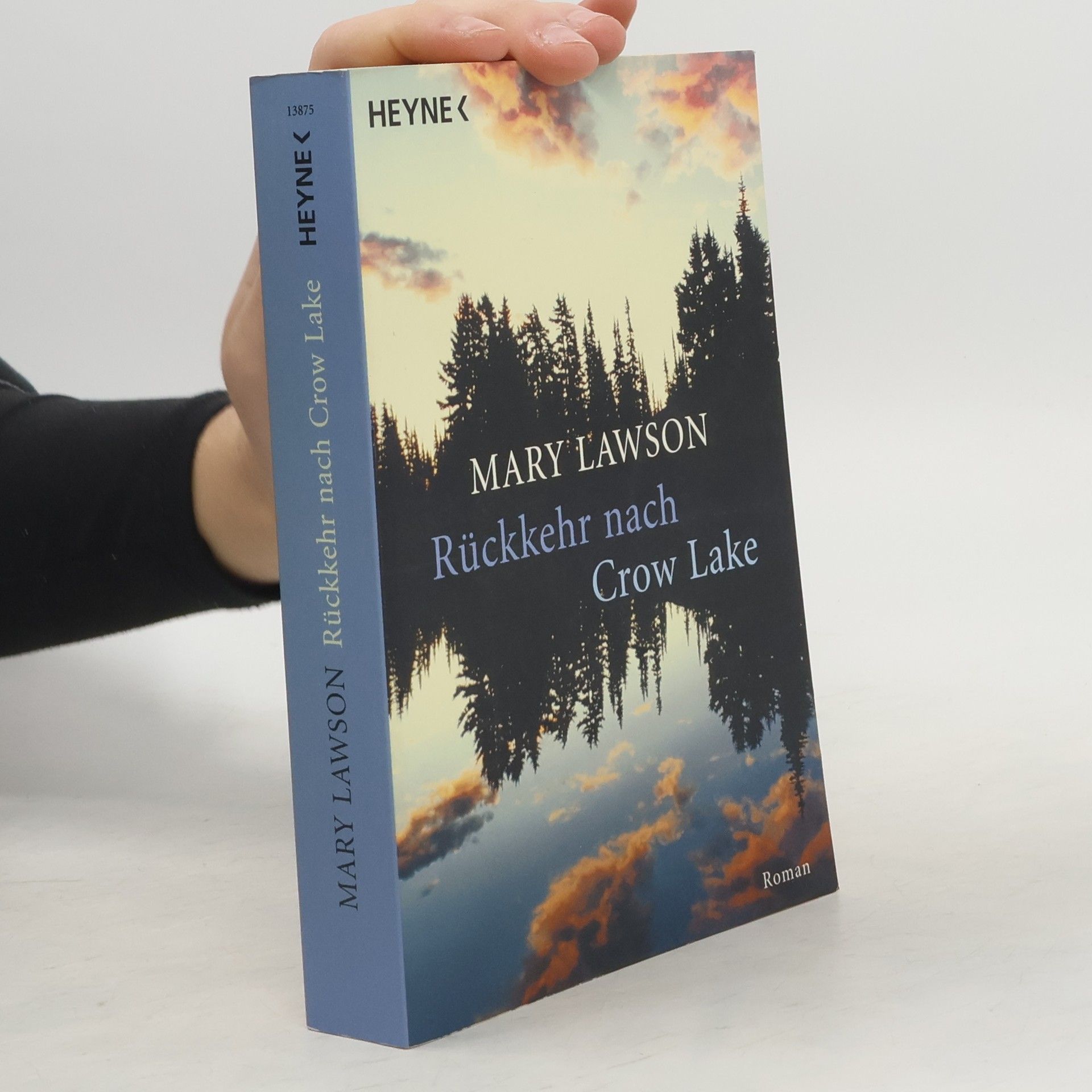 Mary Lawson Rückkehr nach Crow Lake