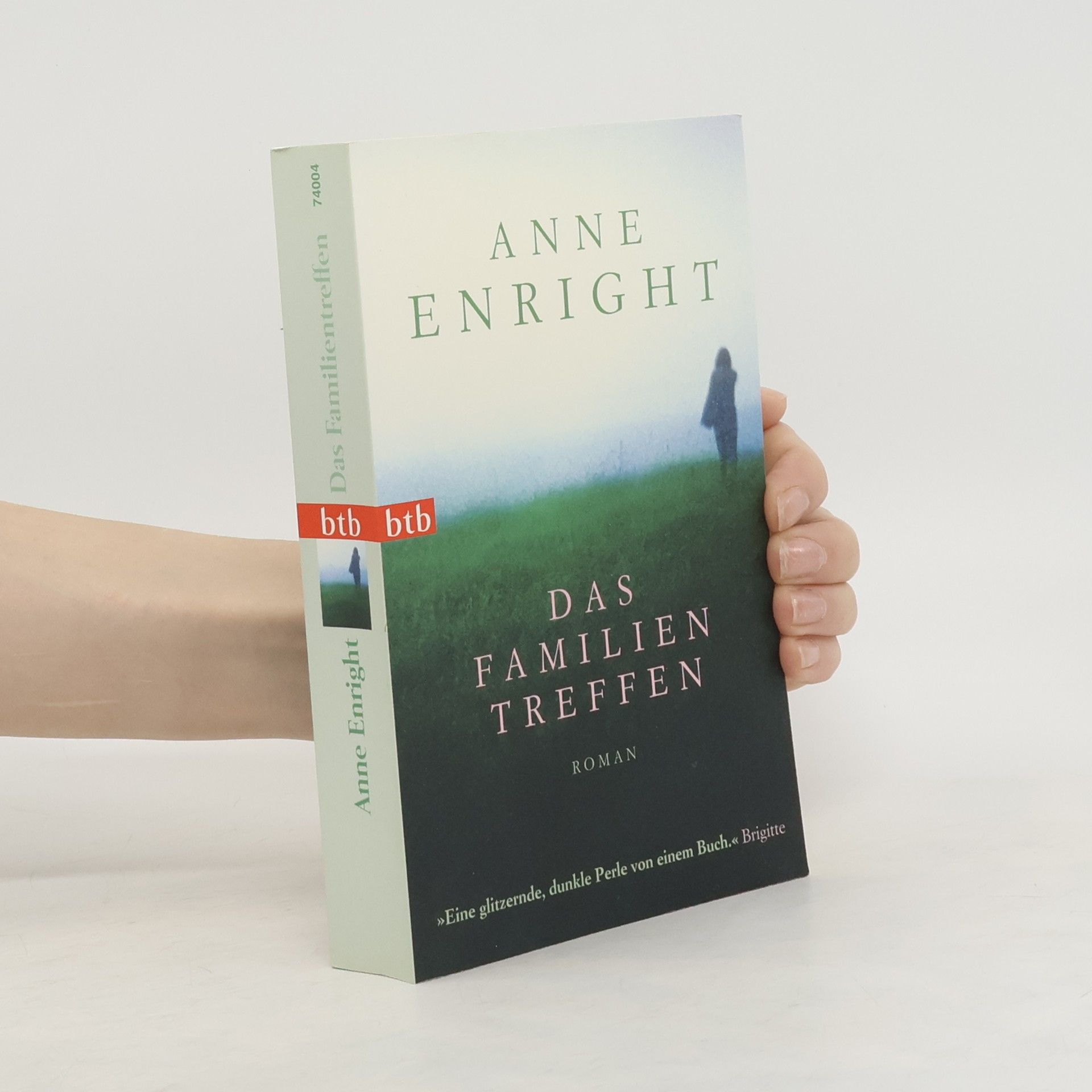 Anne Enright Das Familien Treffen