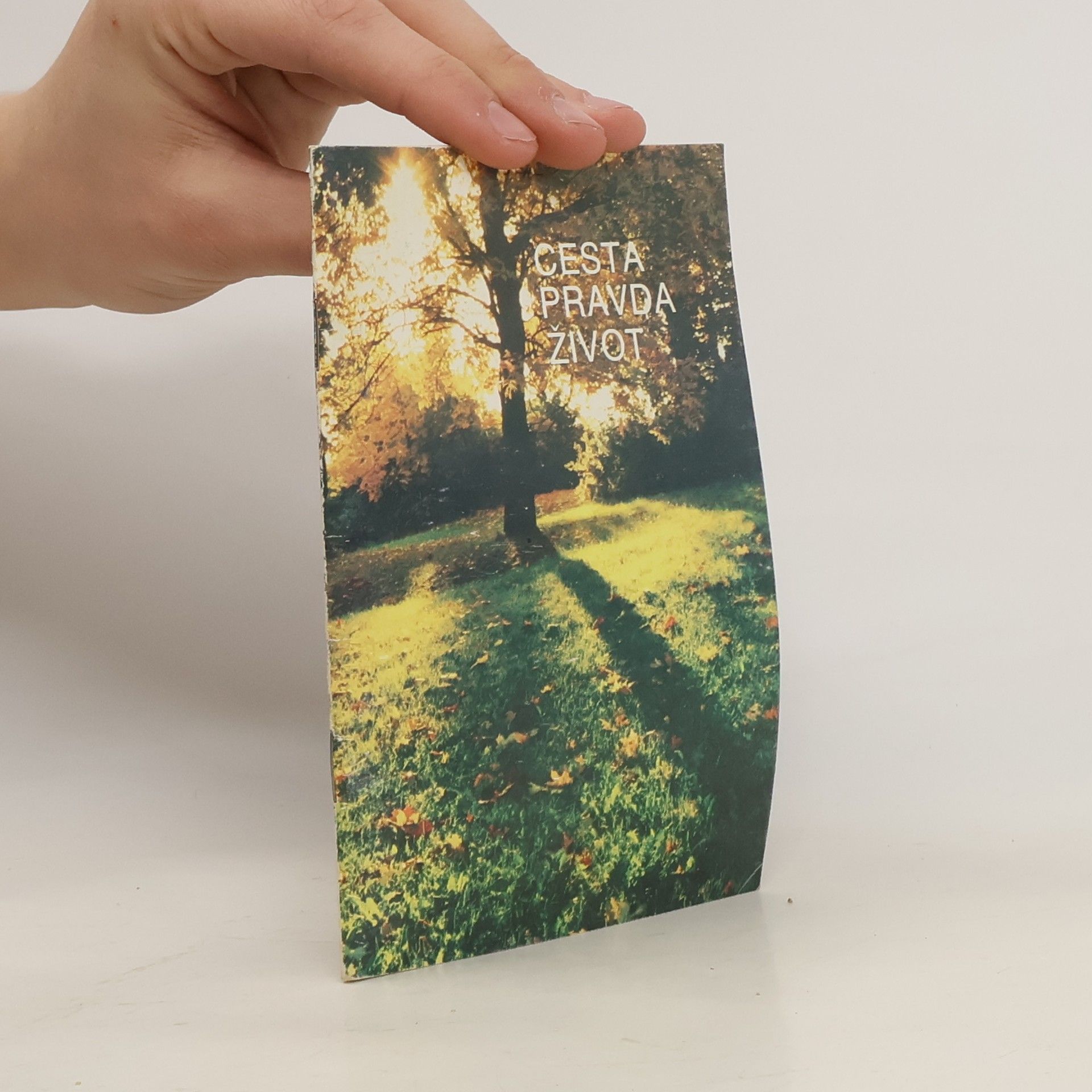 Autorenkollektiv Cesta, pravda, život