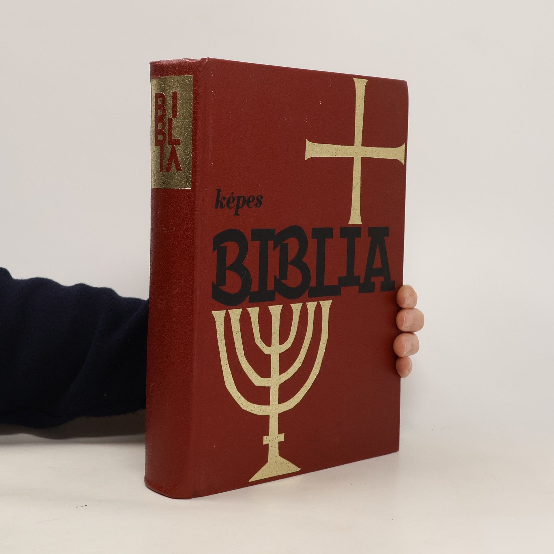AA.VV. Képes biblia