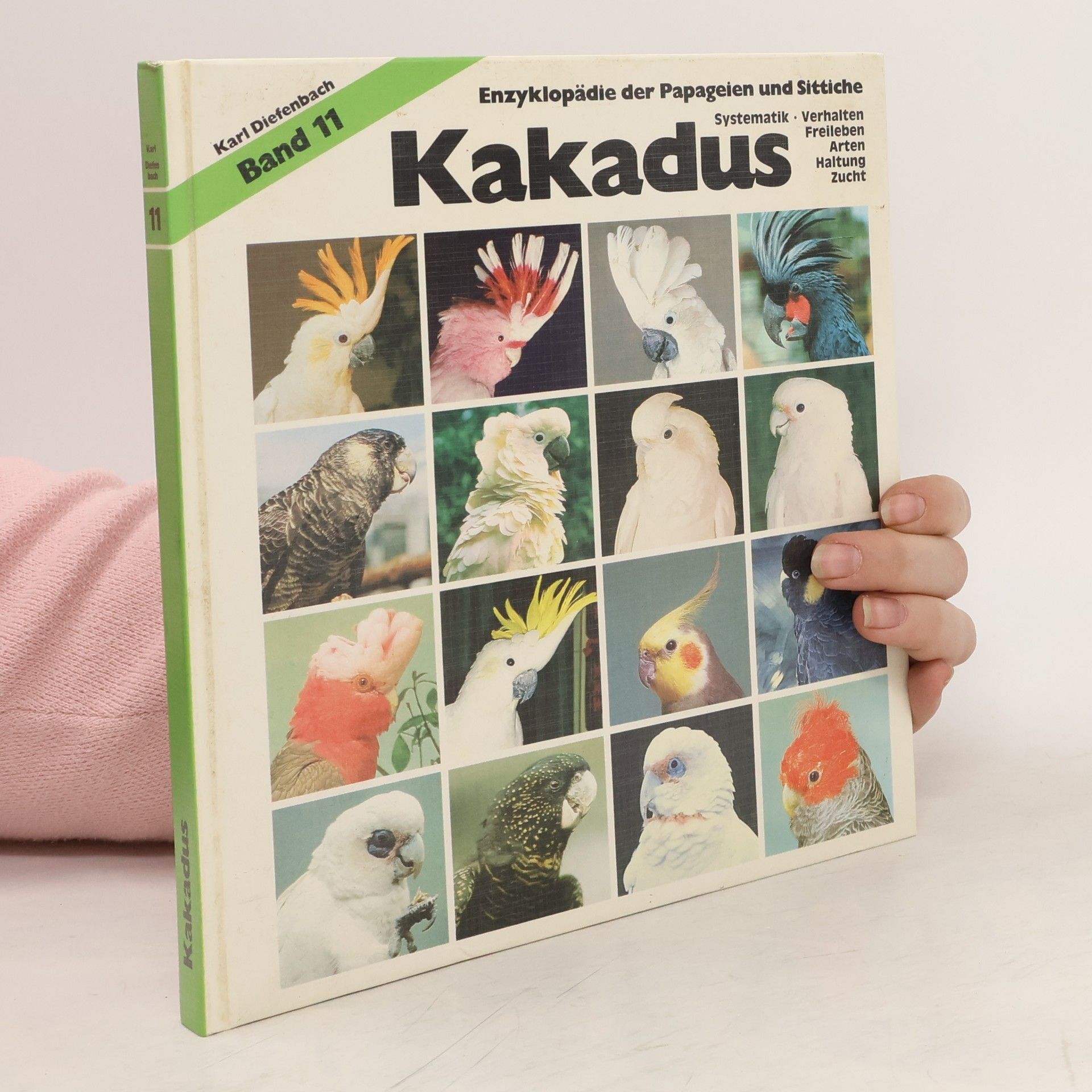 Karl Diefenbach Kakadus