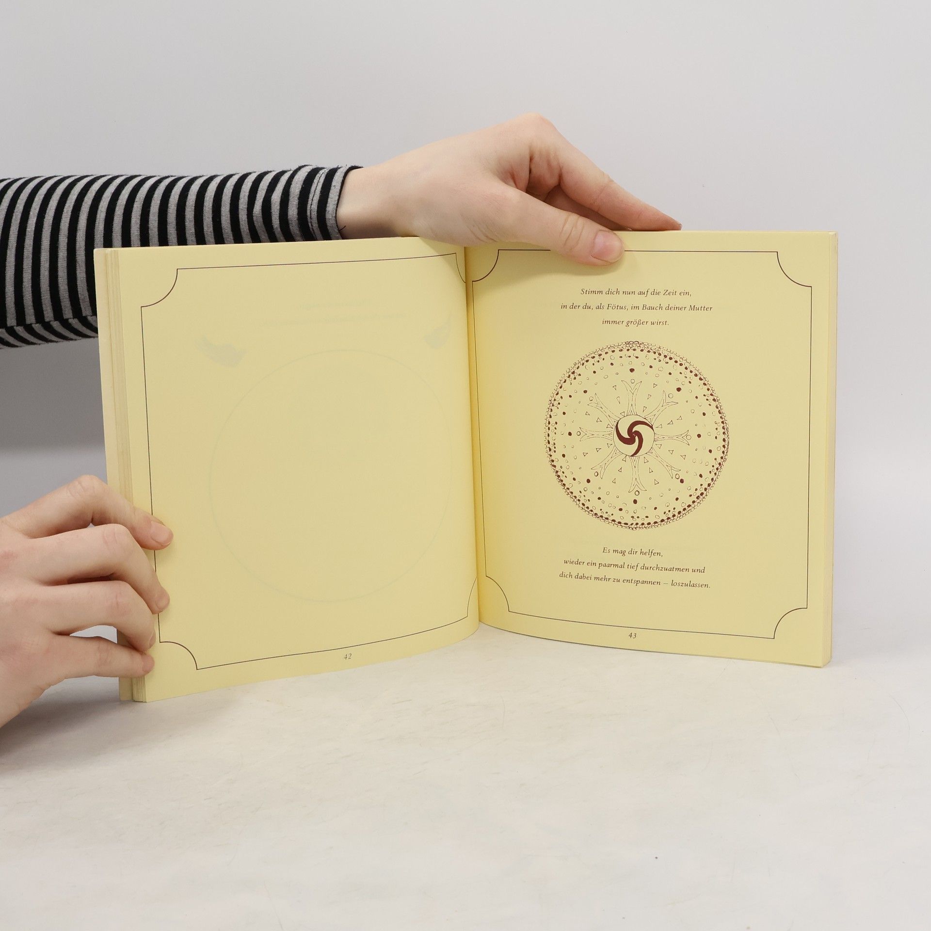 kolektiv Das Geburtstags - Buch