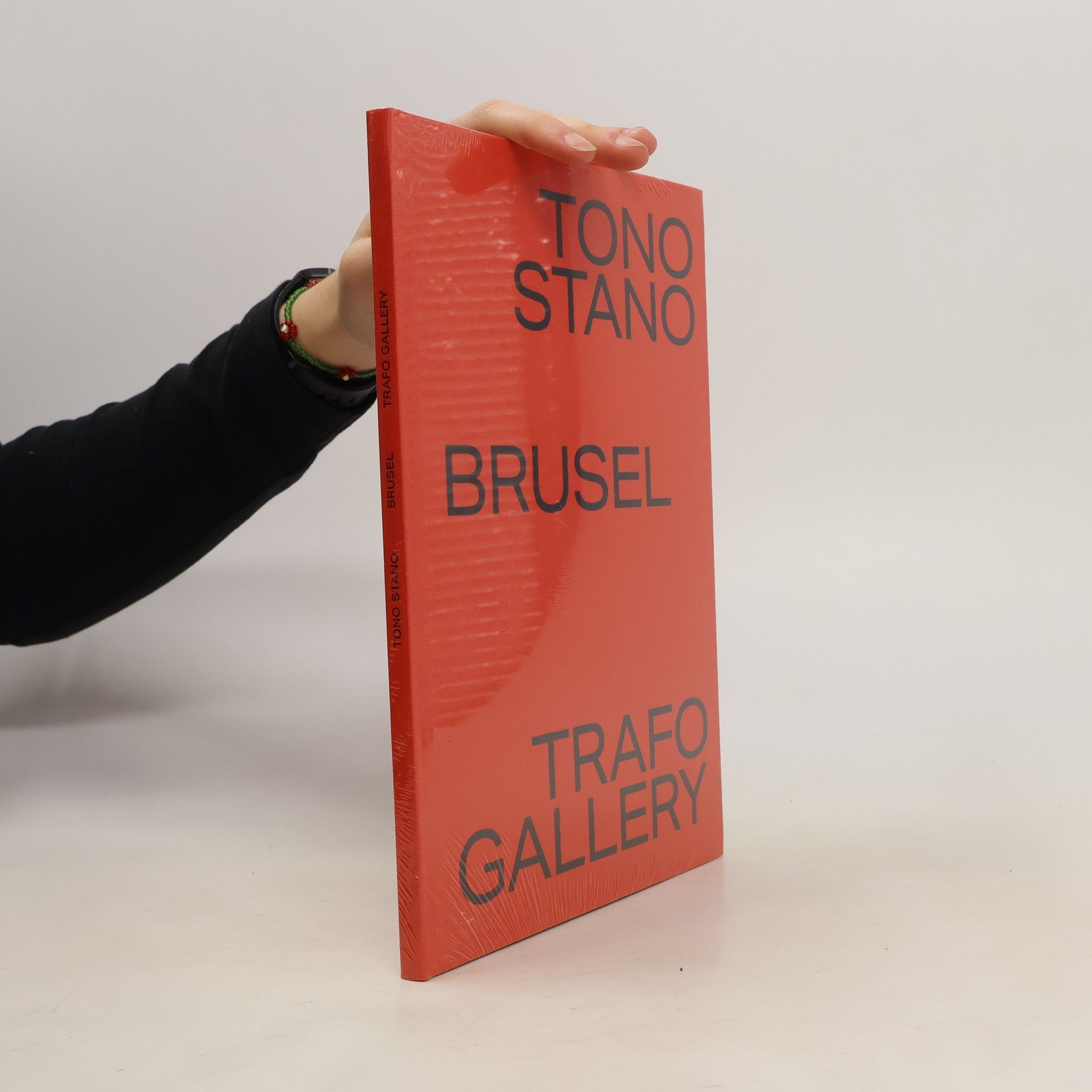 Autores varios Tono Stano. Brusel