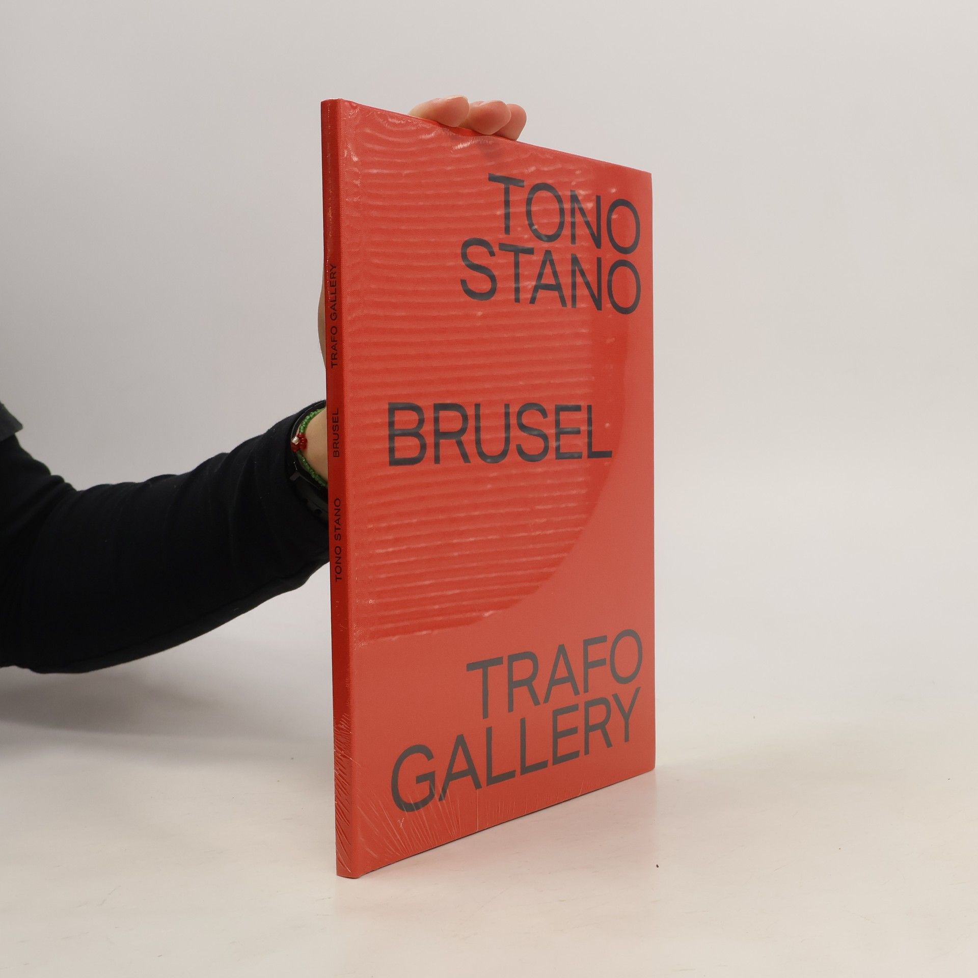kolektiv Tono Stano. Brusel