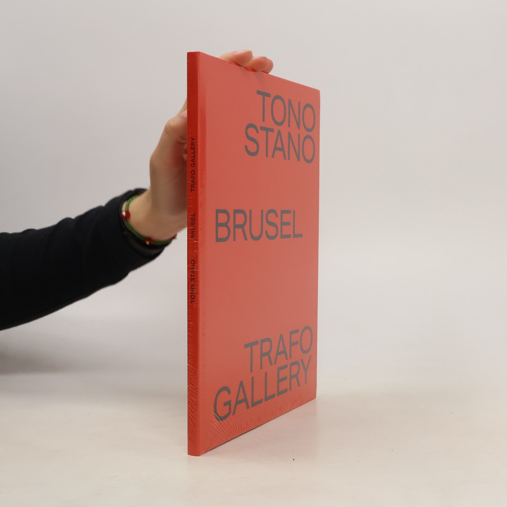 kolektiv Tono Stano. Brusel