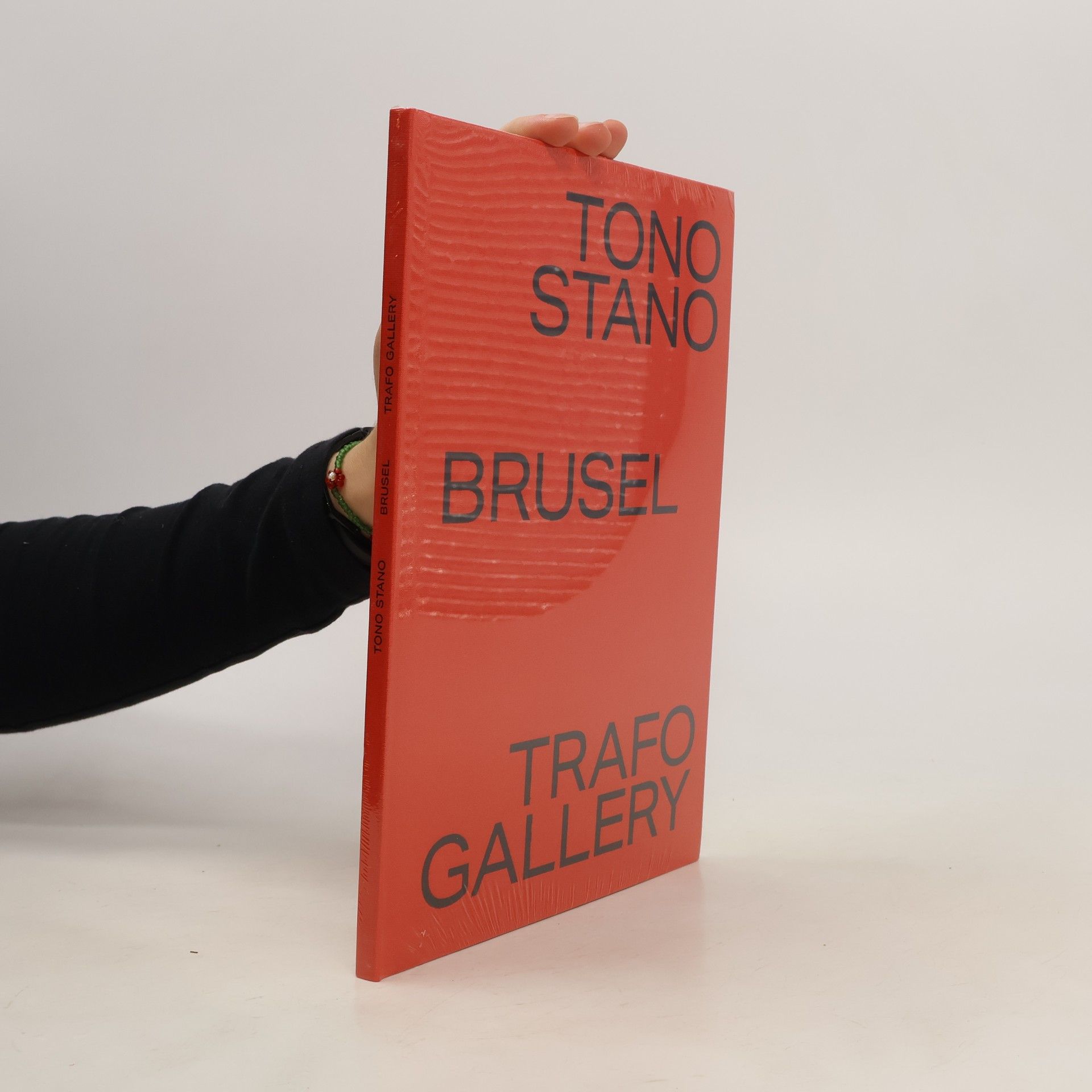kolektiv Tono Stano. Brusel