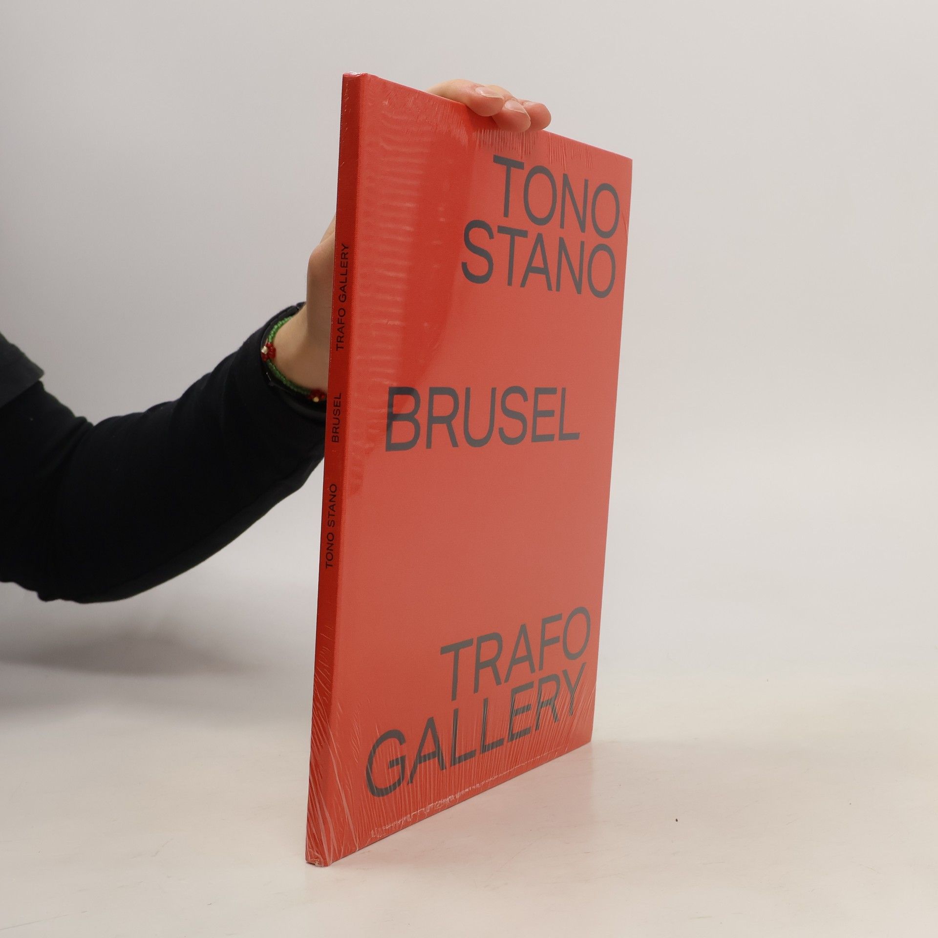 Autorenkollektiv Tono Stano. Brusel