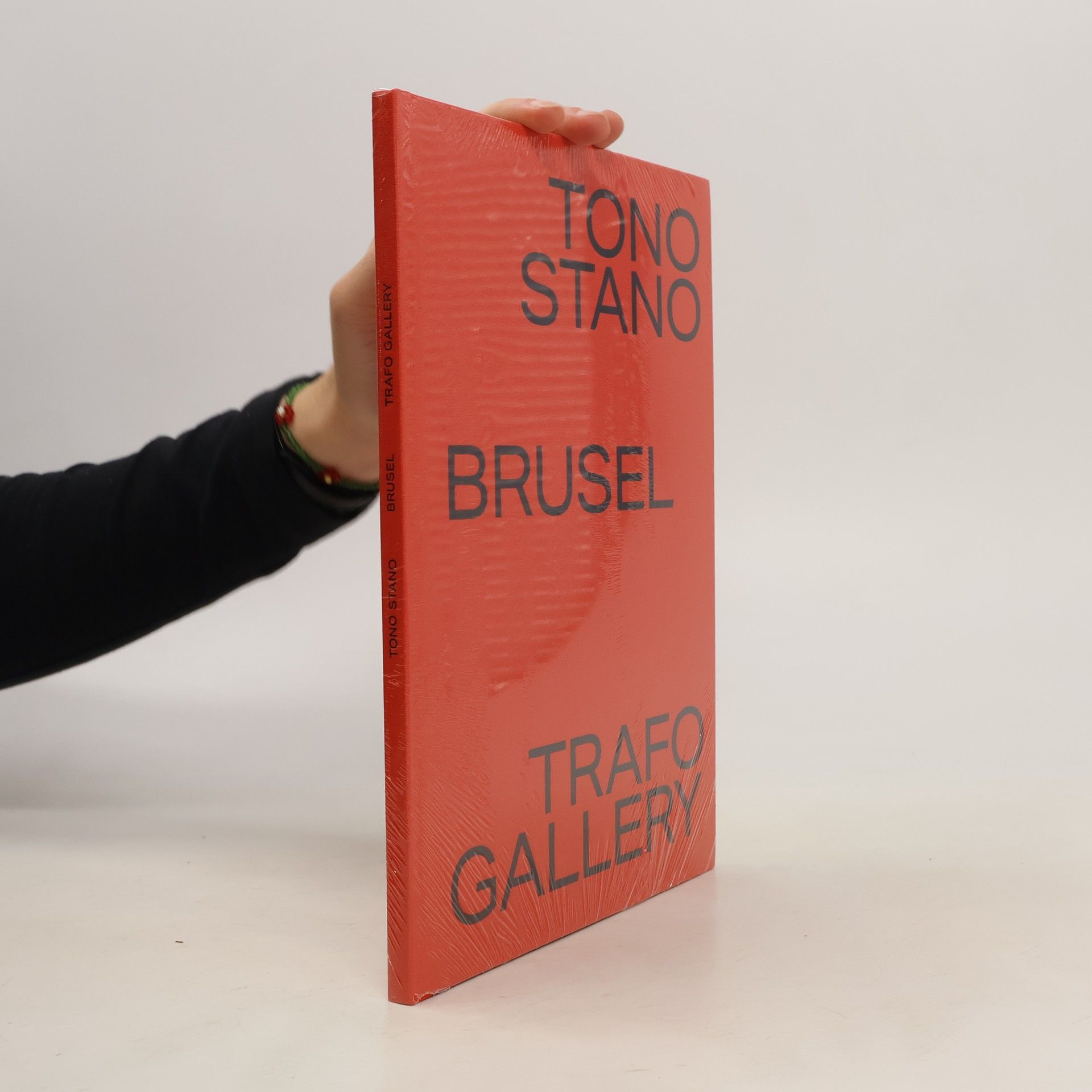 Autores varios Tono Stano. Brusel
