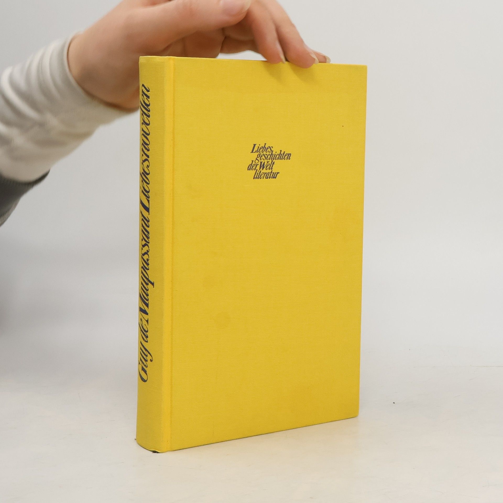 Auteurscollectief Liebes, geschichten der Welt literatur