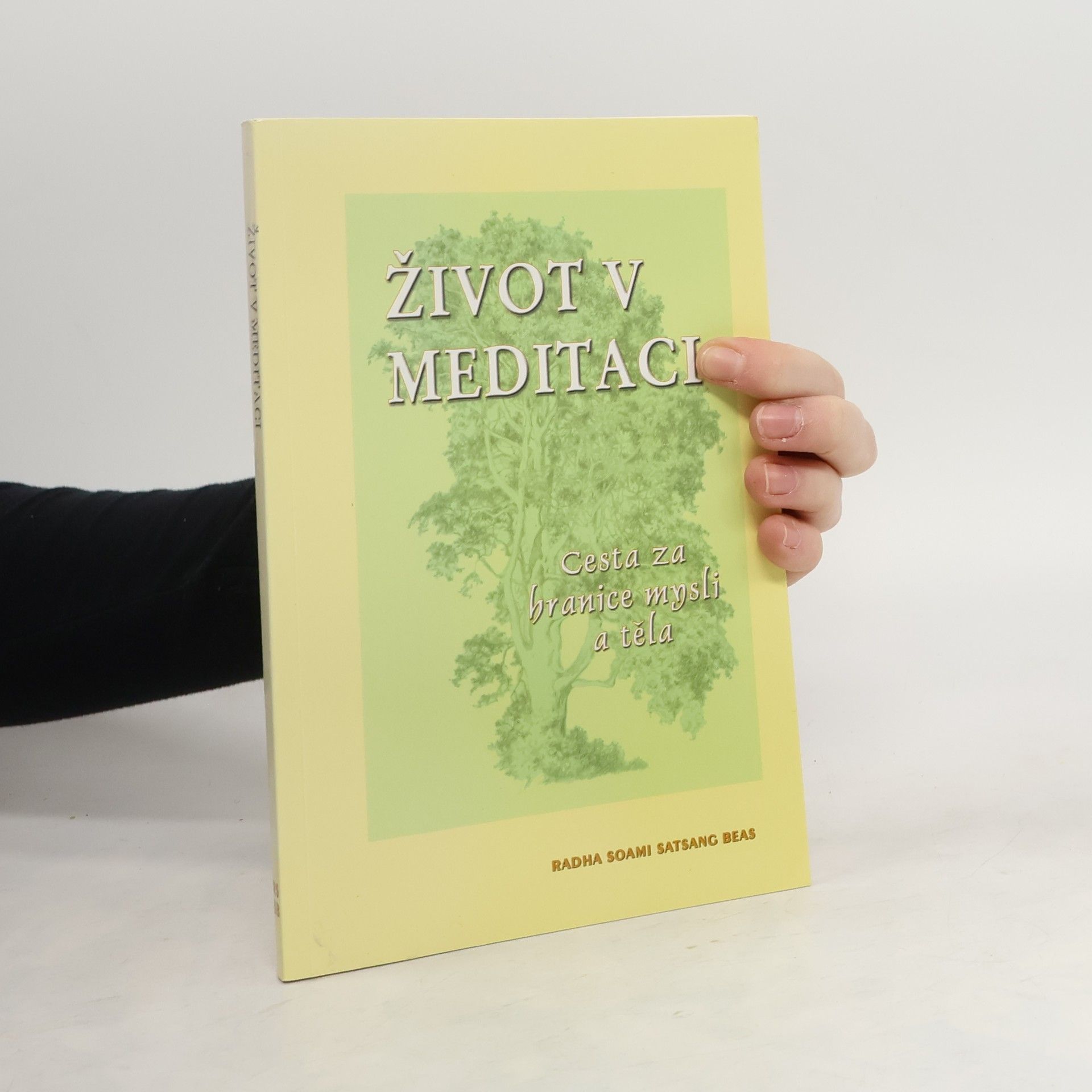 Hector E. Esponda Dubin Život v meditaci: Cesta za hranice mysli a těla