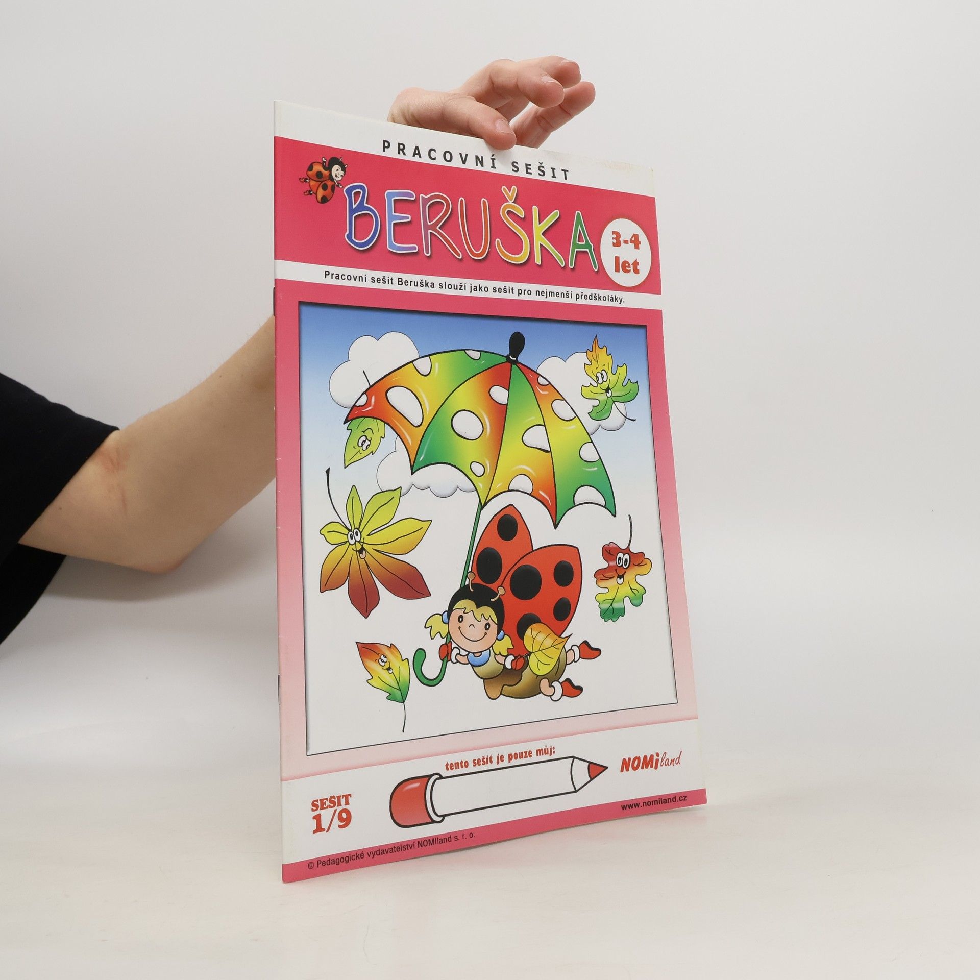 Kolektiv autorů Pracovní sešit Beruška