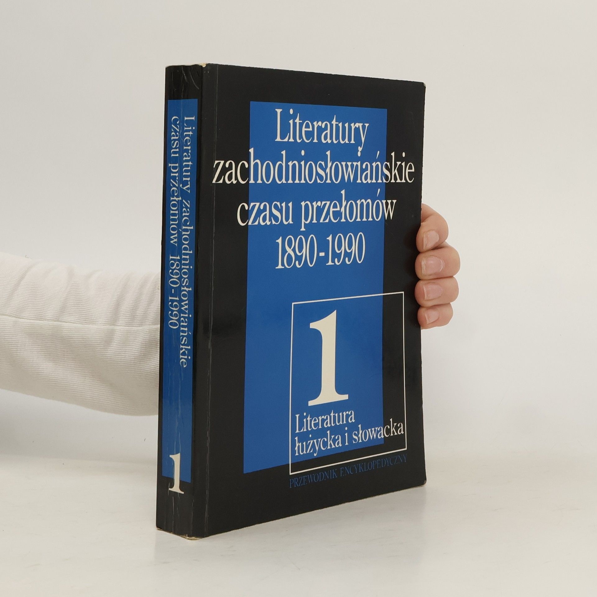 Autorenkollektiv Literatury zachodniosłowiańskie czasu przełomów 1890 - 1990