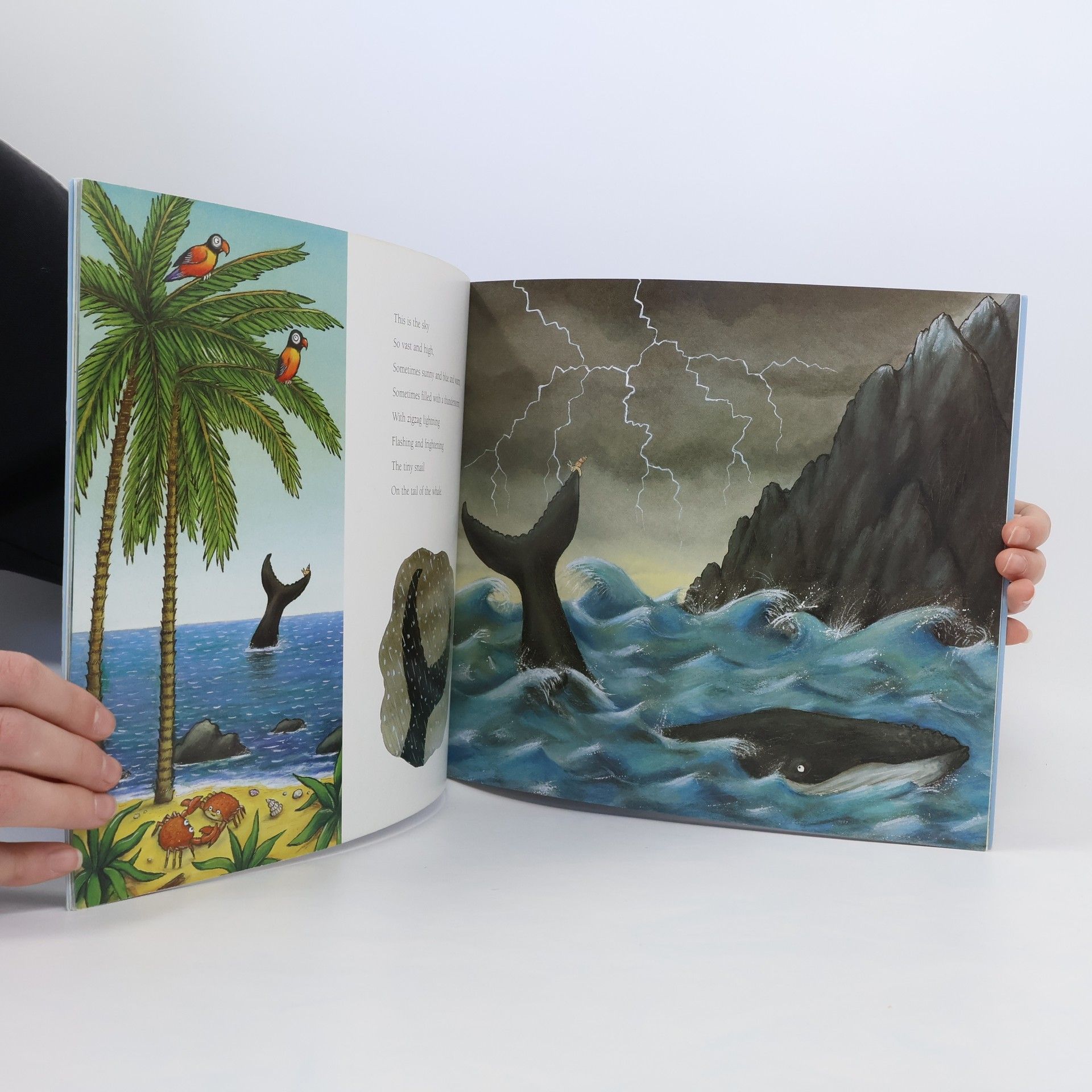 Julia Donaldson Snail and the Whale