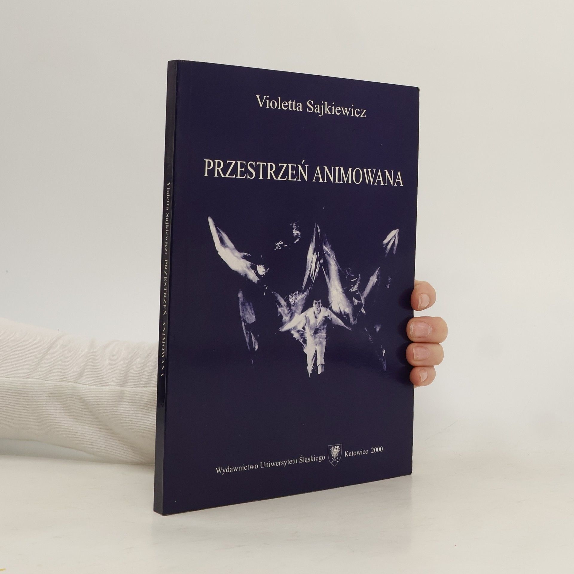 Violetta Sajkiewicz Przestrzeń animowana