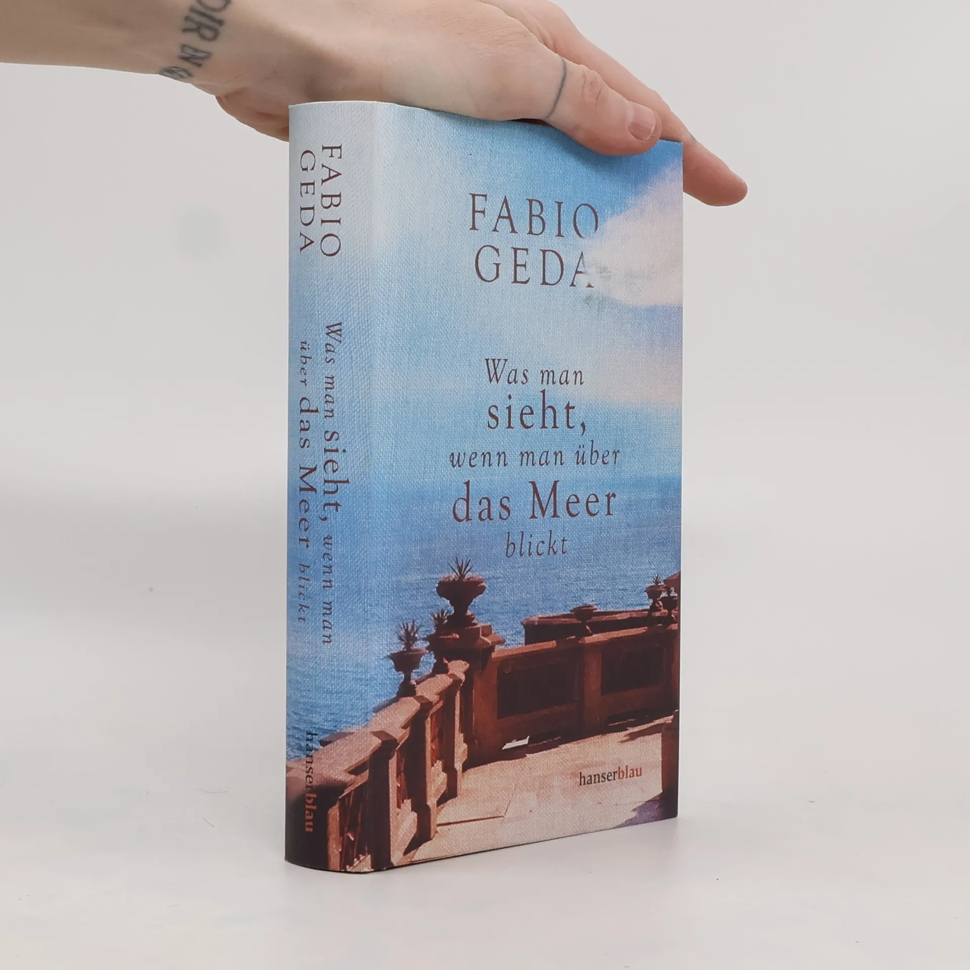 Was man sieht, wenn man über das Meer blickt | Libro | Fabio Geda | DE