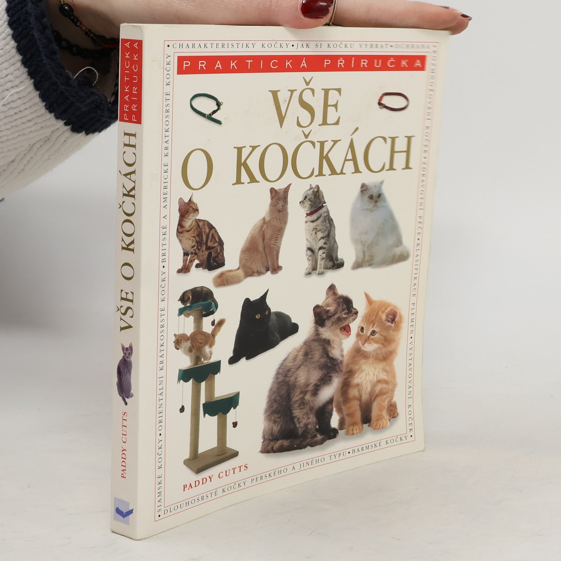 Paddy Cutts Vše o kočkách. Kompletní průvodce