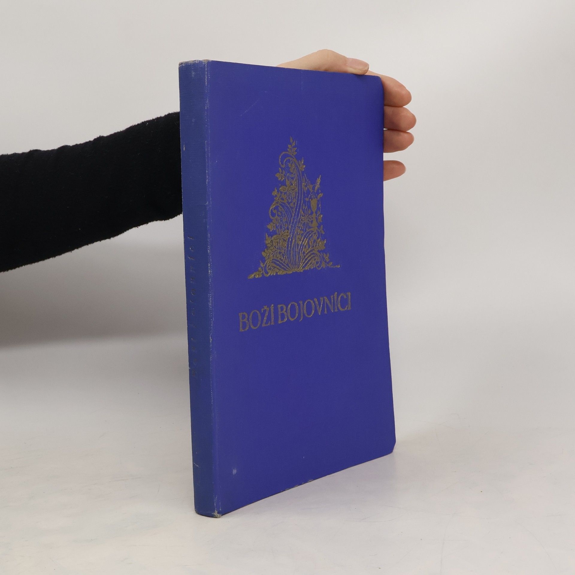 Václav Louda Boží bojovníci. Památník z dob nadšení i utrpení